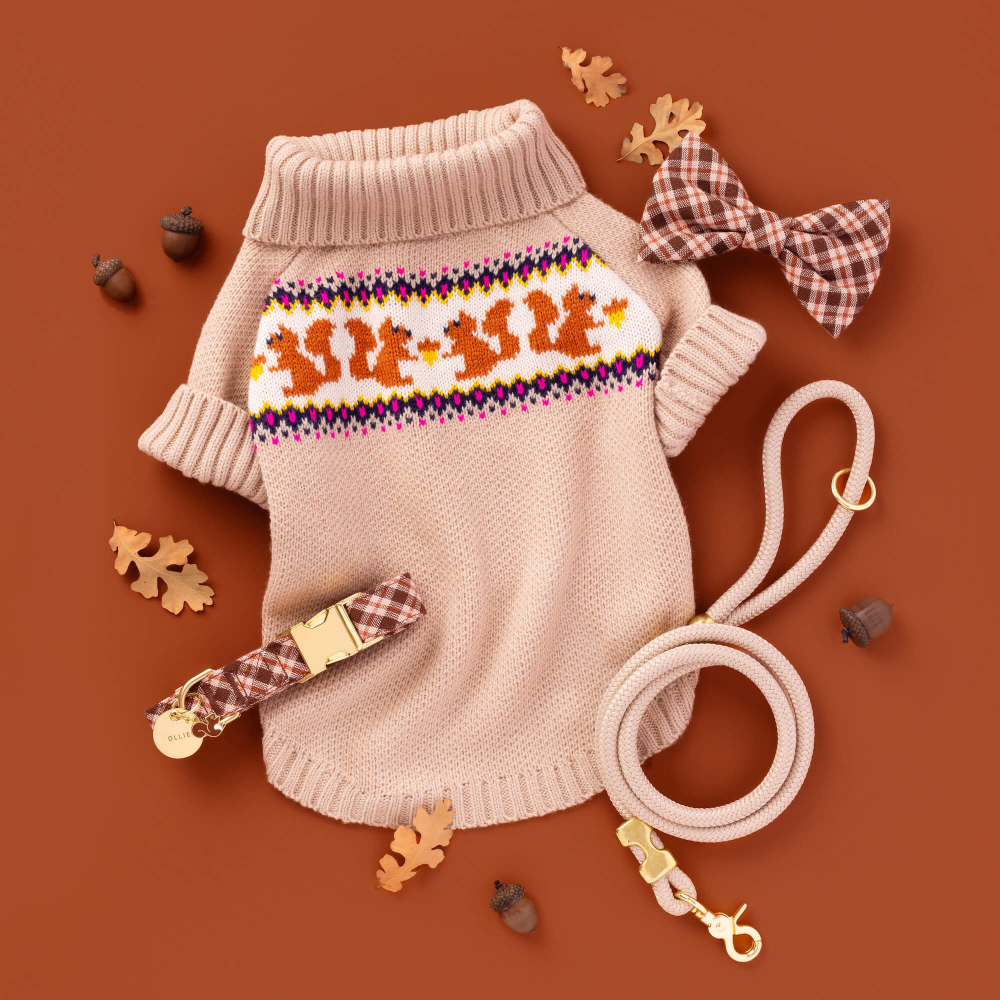 Circle Pet ID Tag - Image 17