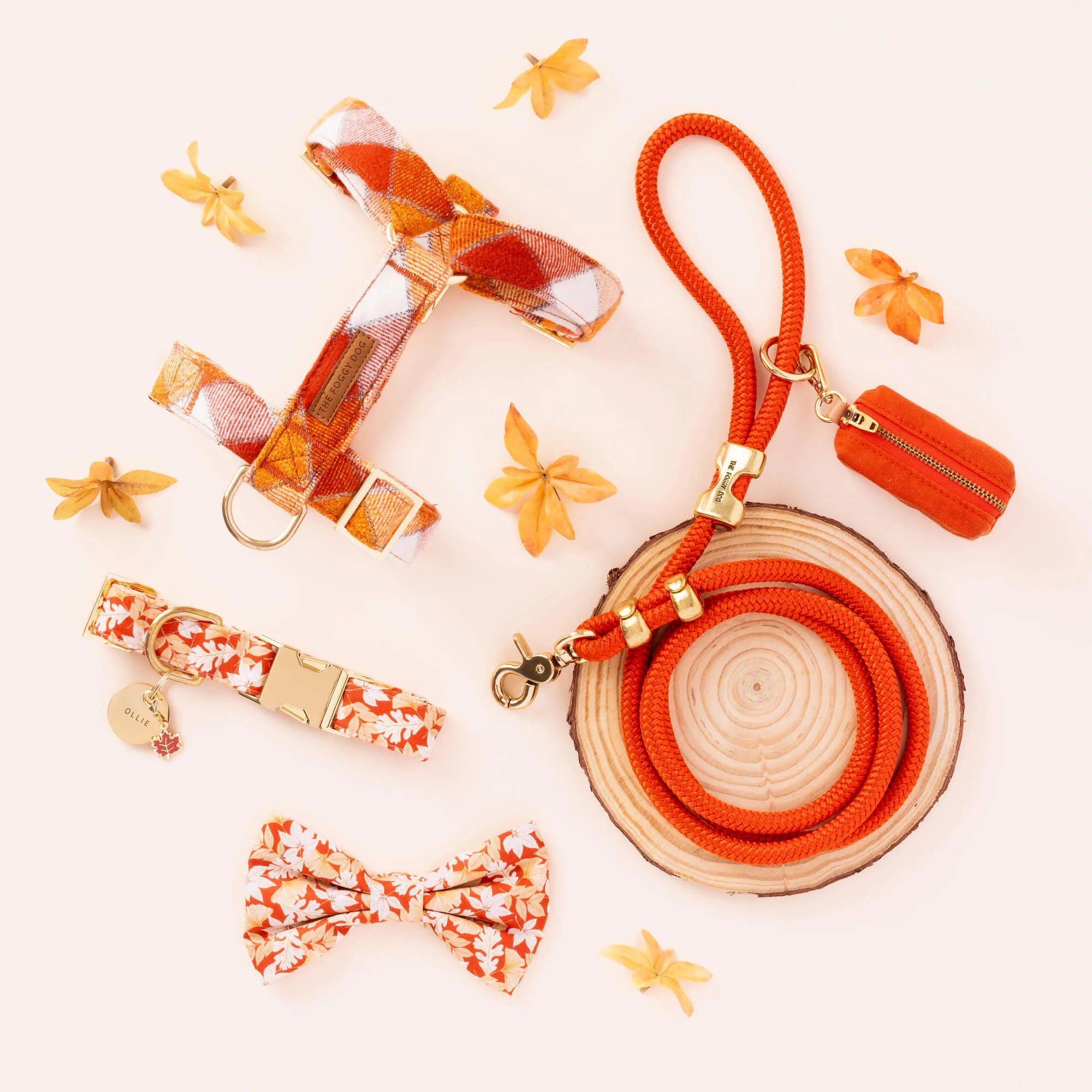 Circle Pet ID Tag - Image 18