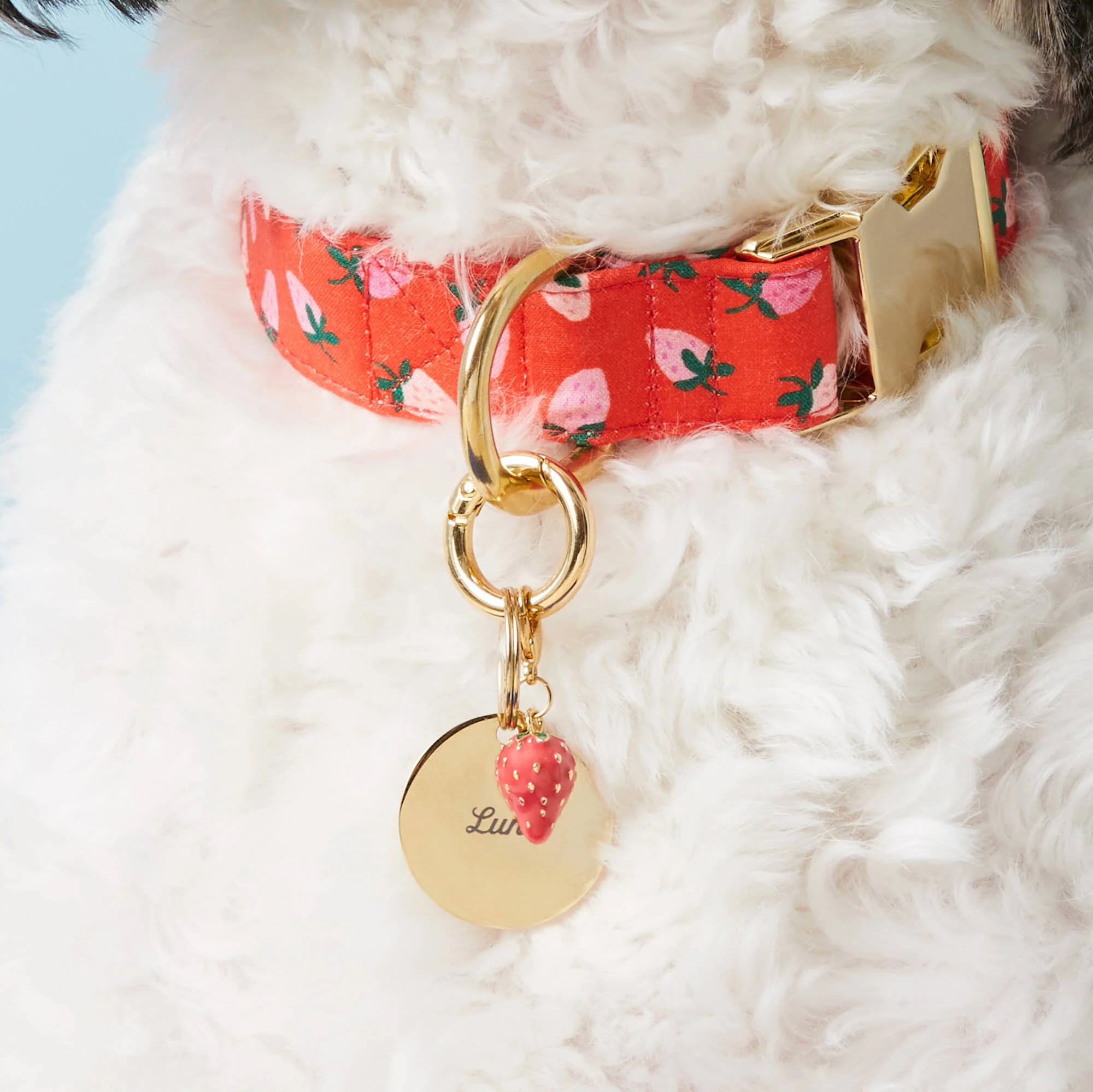 Circle Pet ID Tag - Image 4