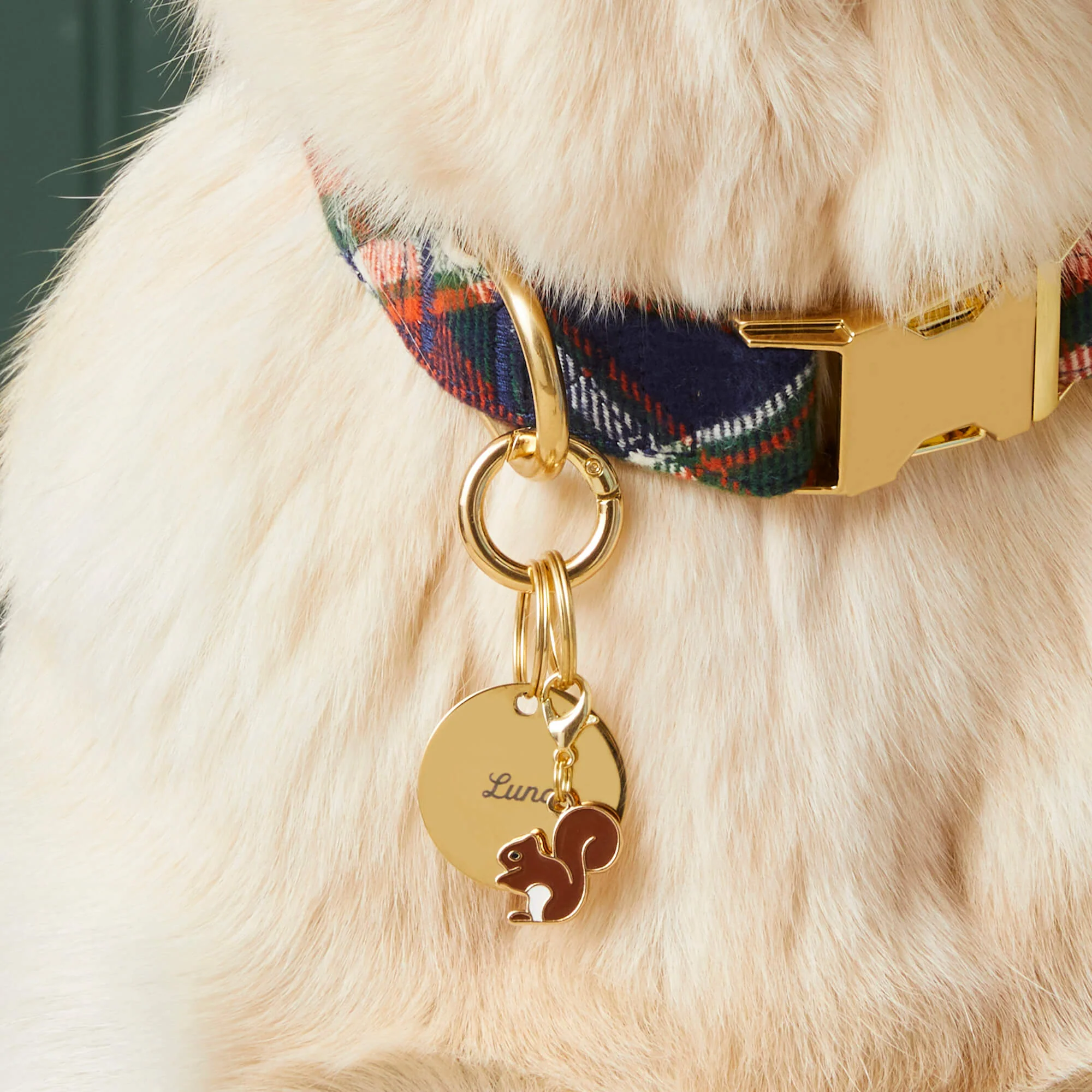Circle Pet ID Tag - Image 7