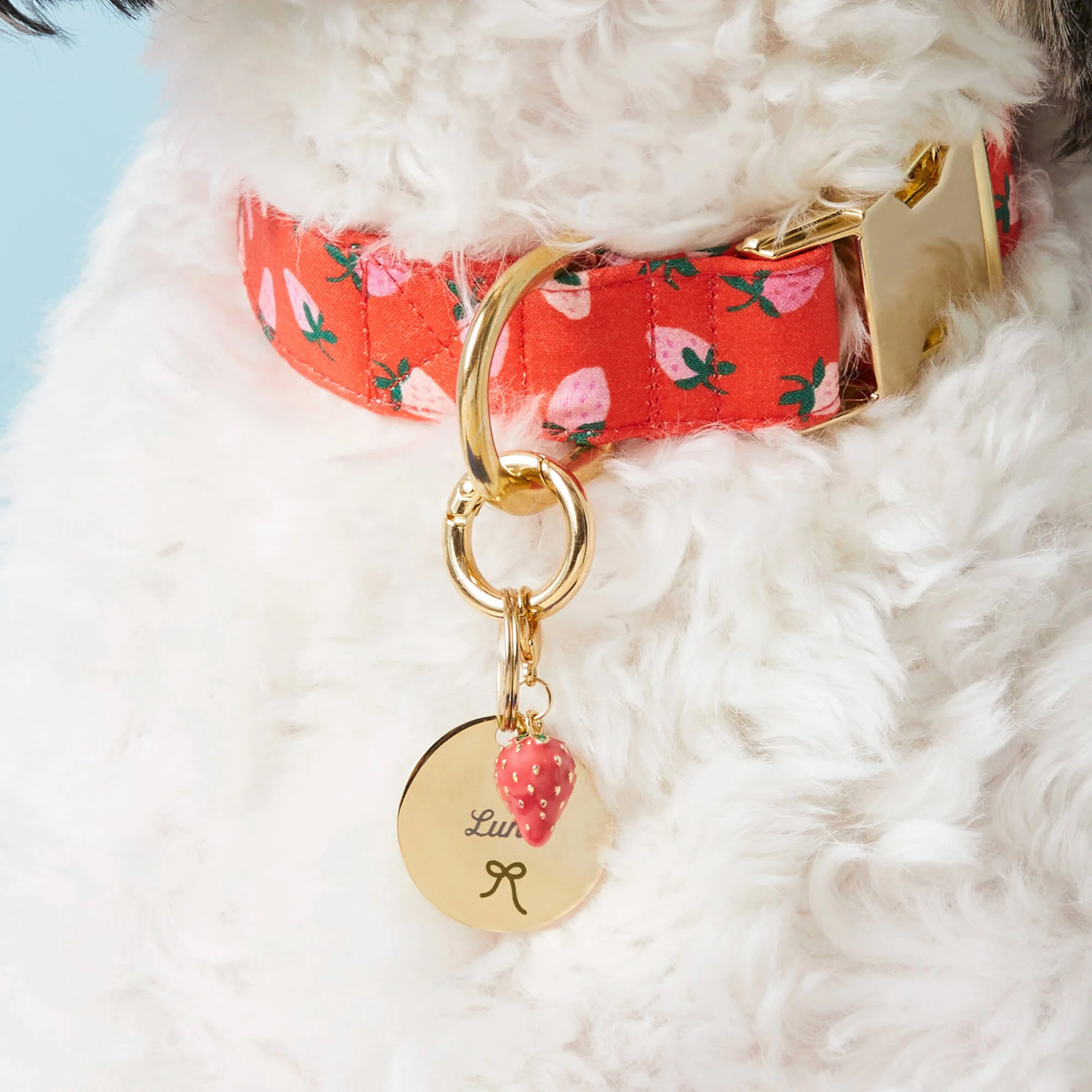 Circle Pet ID Tag: Bow Icon - Image 4