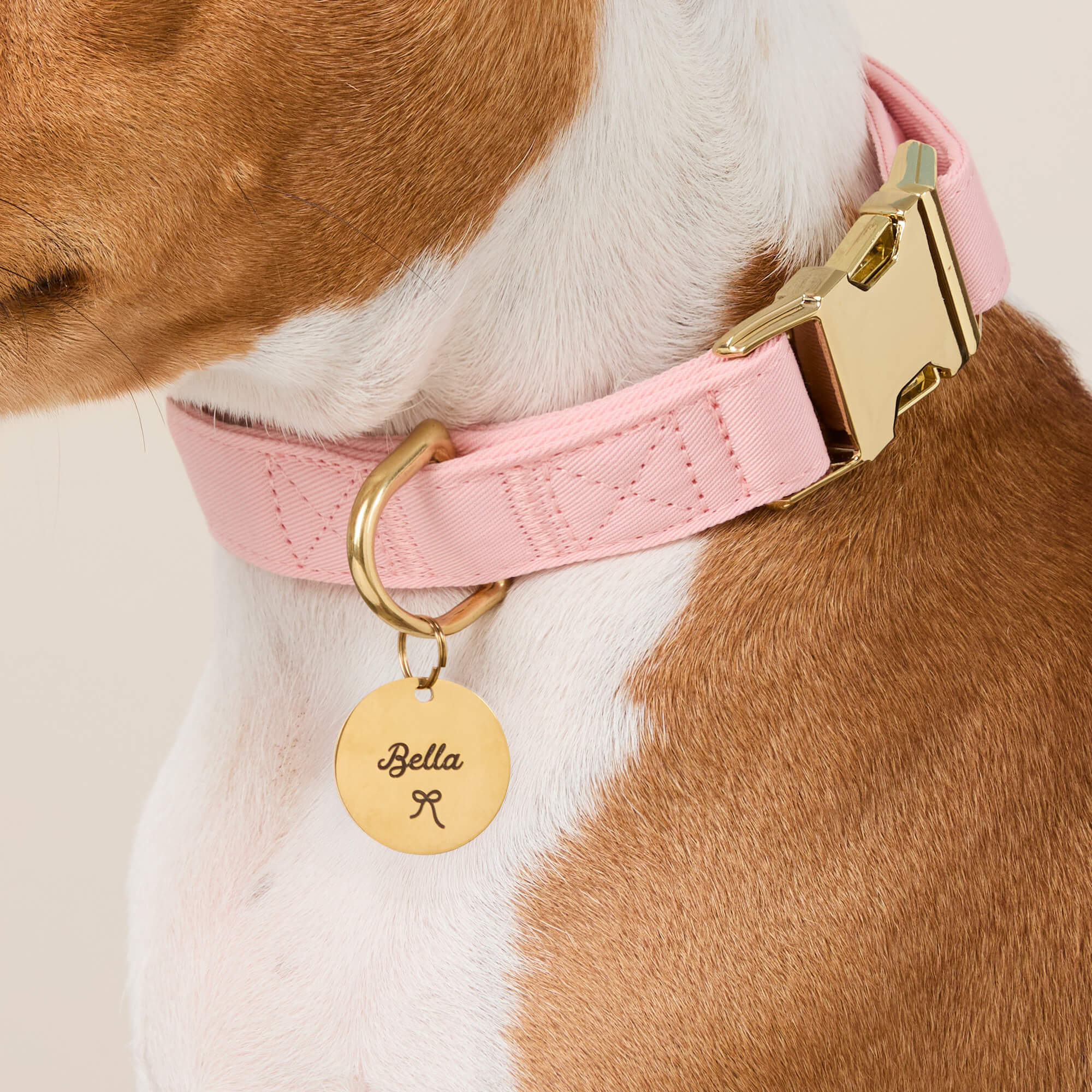 Circle Pet ID Tag: Bow Icon - Image 5