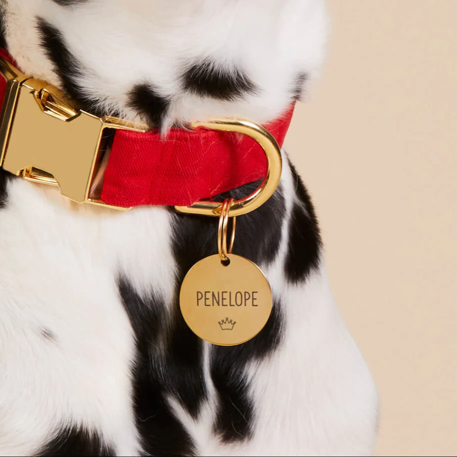 Circle Pet ID Tag: Crown Icon - Image 4