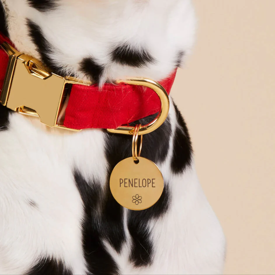 Circle Pet ID Tag: Flower Icon - Image 4