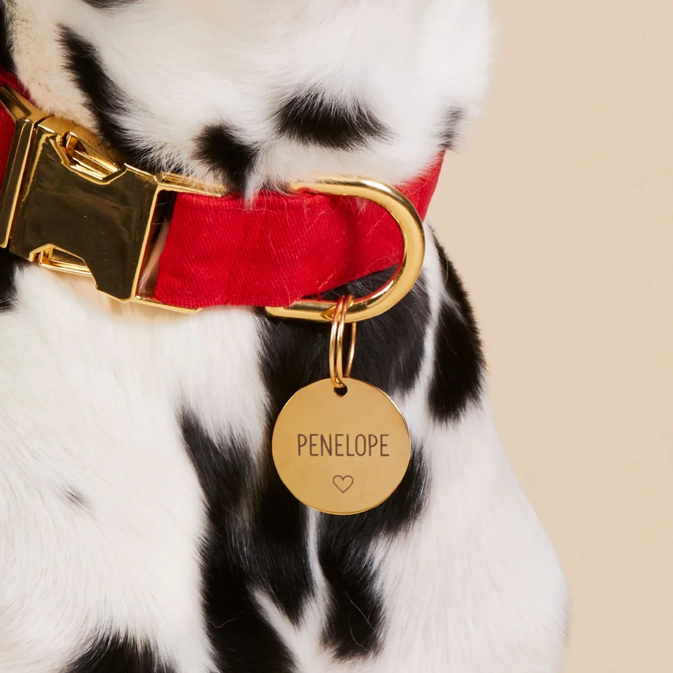 Circle Pet ID Tag: Heart Icon - Image 4