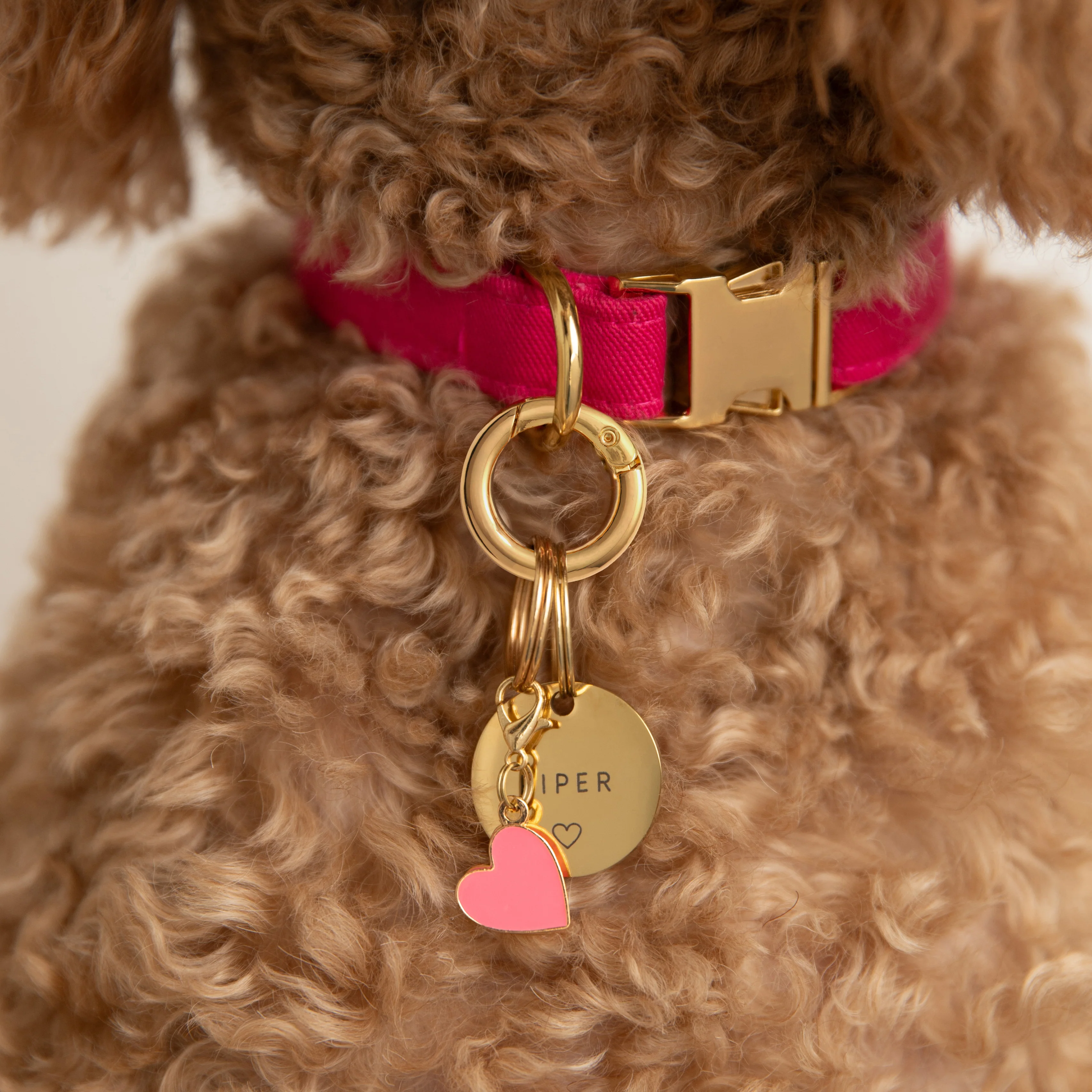 Circle Pet ID Tag: Heart Icon - Image 5
