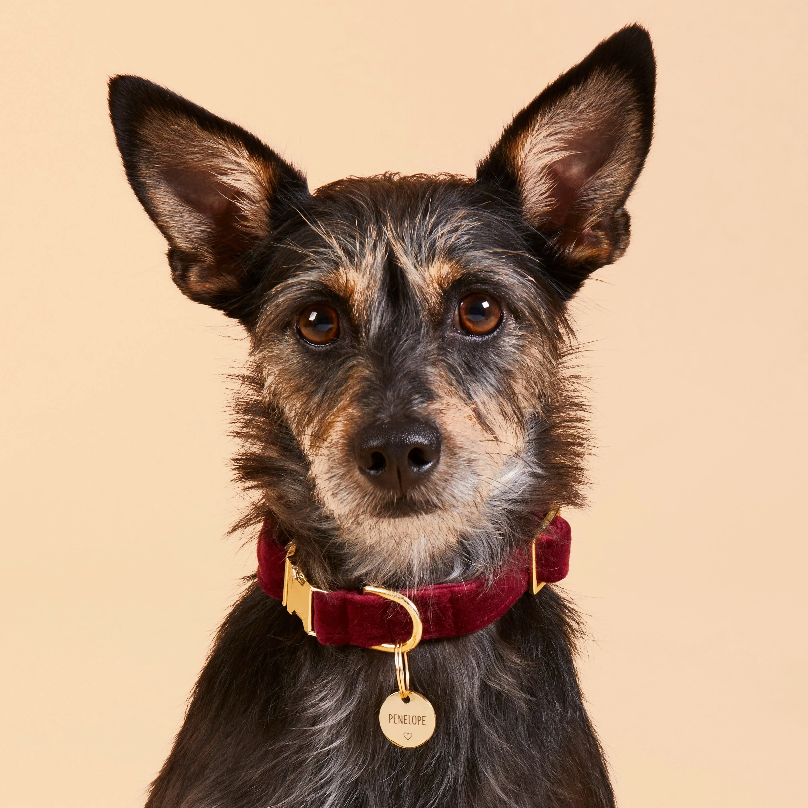 Circle Pet ID Tag: Heart Icon - Image 6