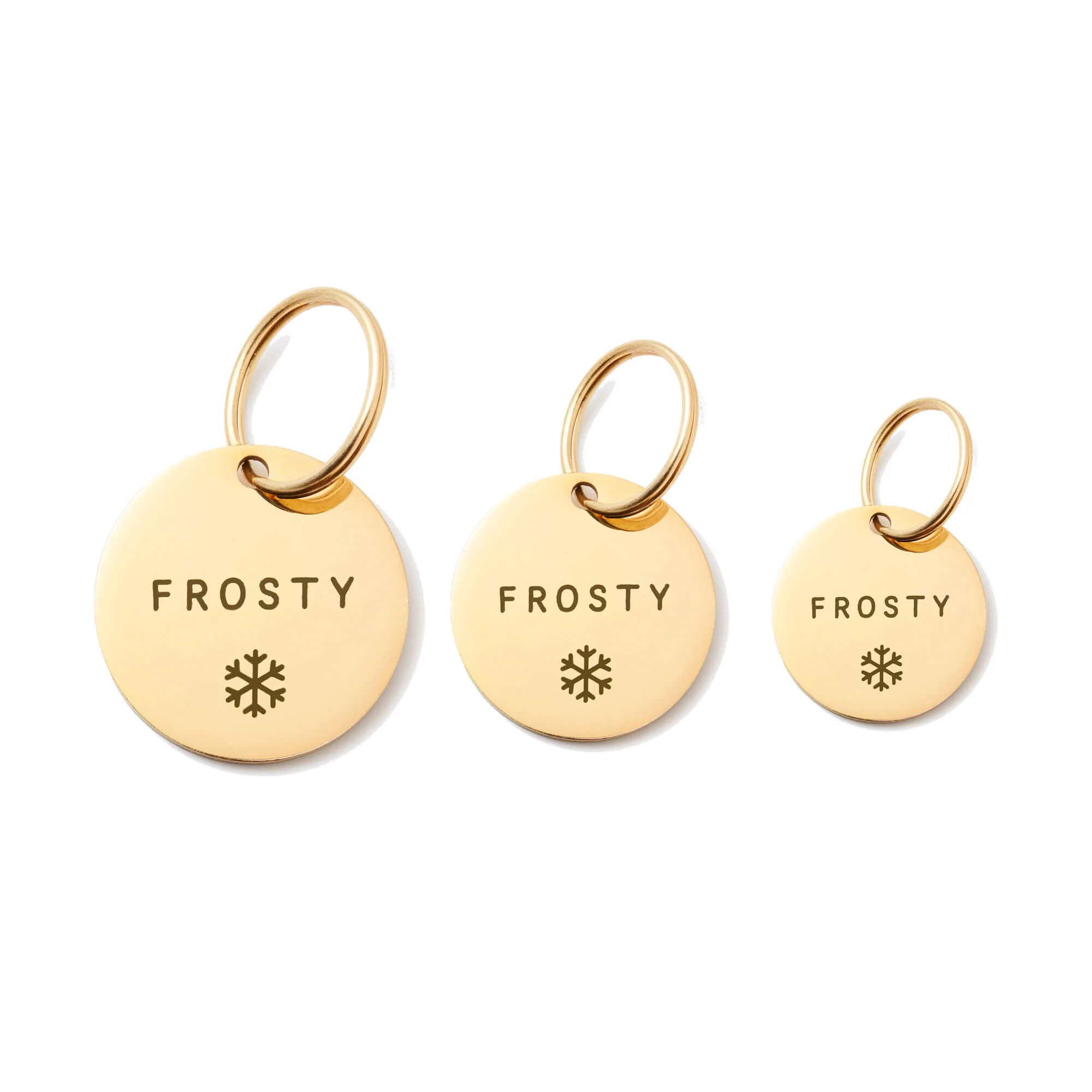 Circle Pet ID Tag: Snowflake Icon - Image 3