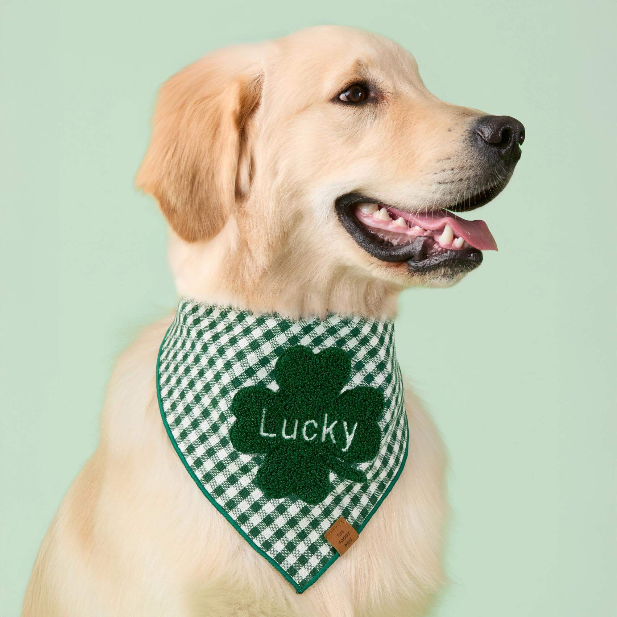 Clover Applique Dog Bandana - Image 3