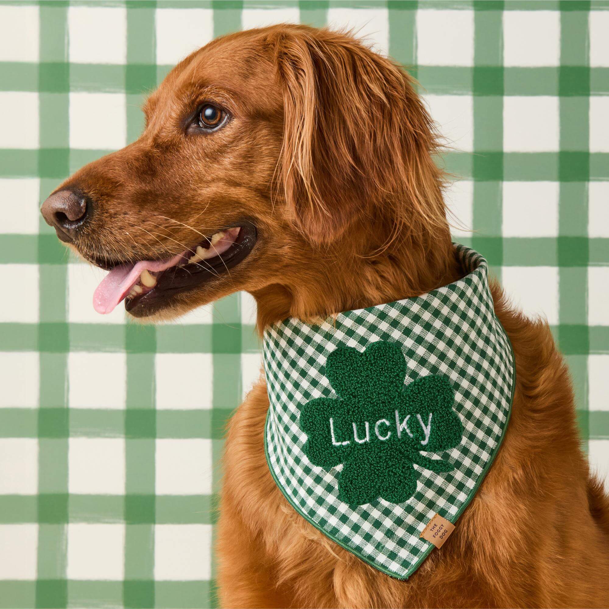 Clover Applique Dog Bandana - Image 4