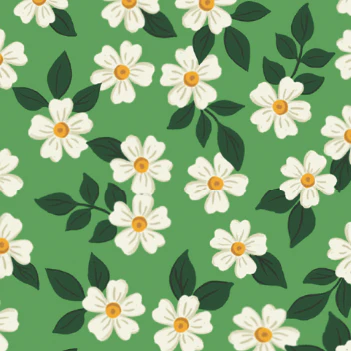Dainty Daisies Collar Walk Set - Image 6