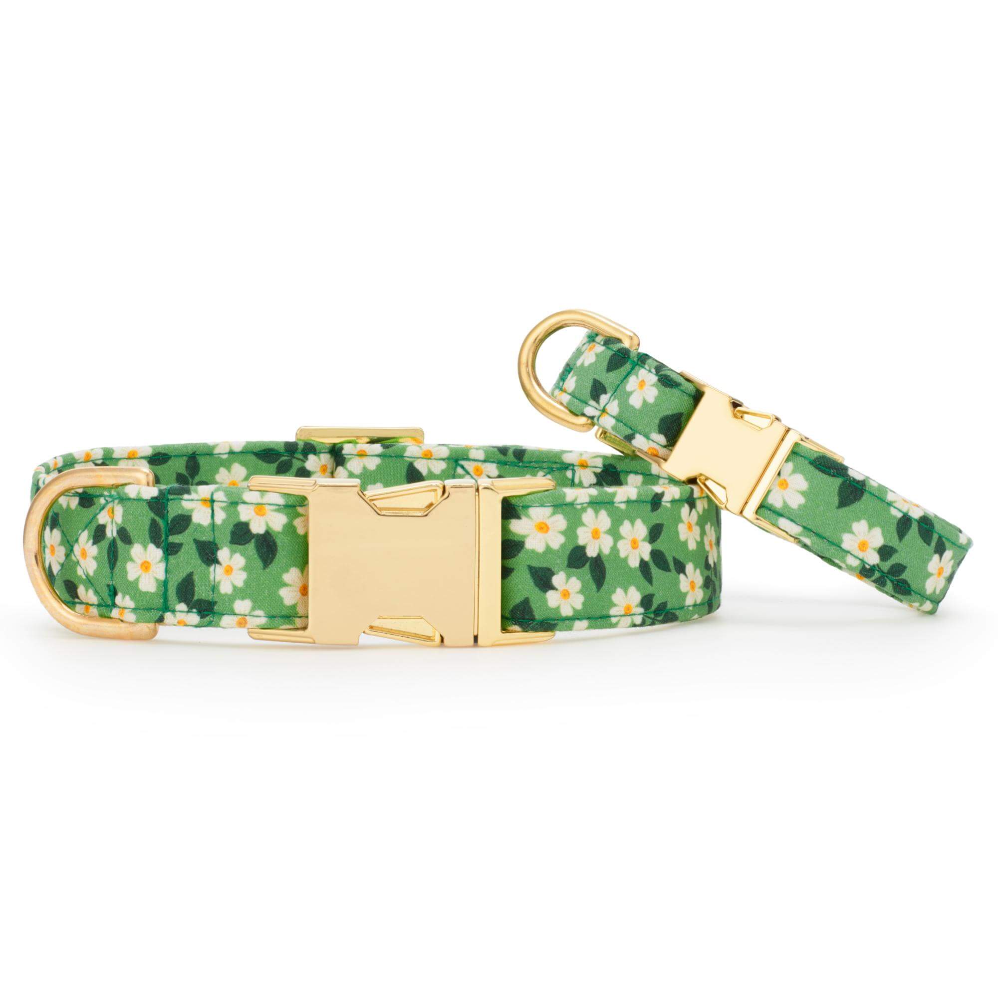 Dainty Daisies Dog Collar - Image 4