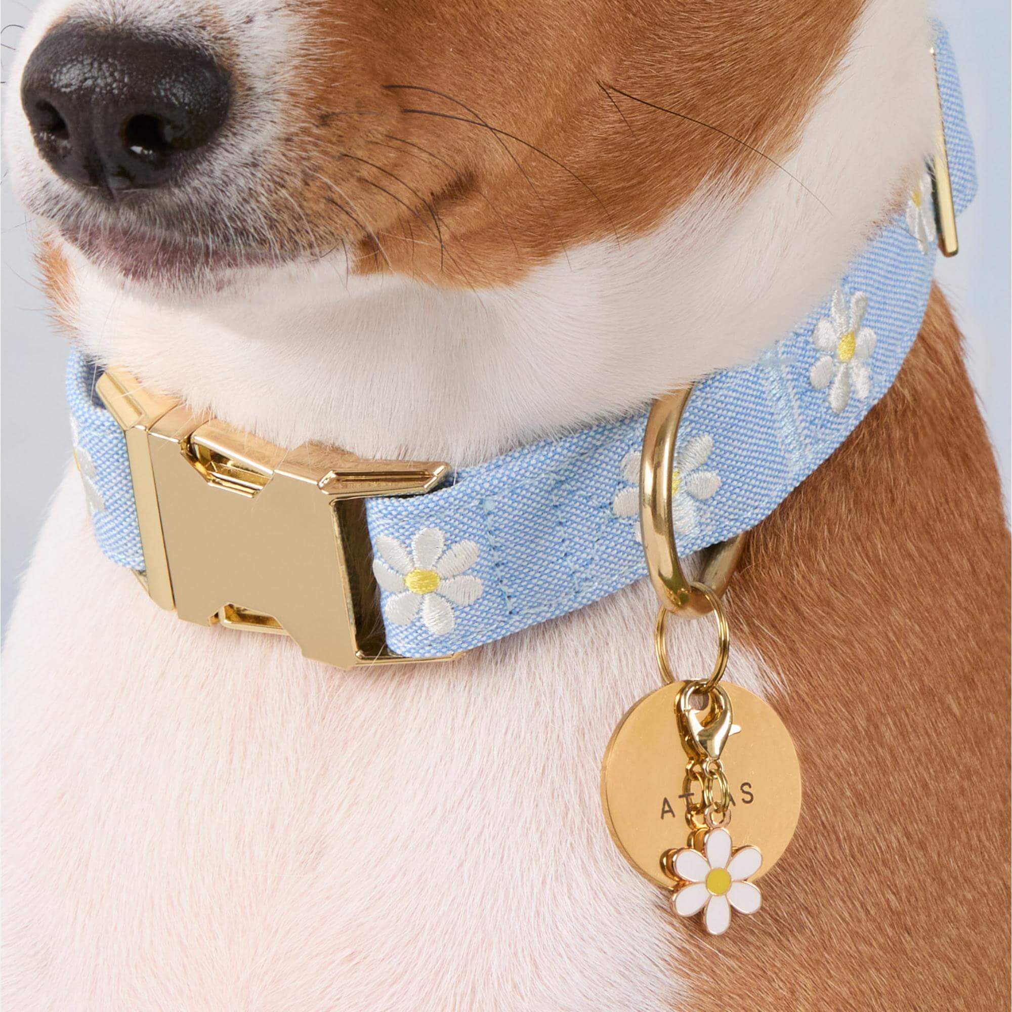 Daisy Embroidered Dog Collar - Image 5