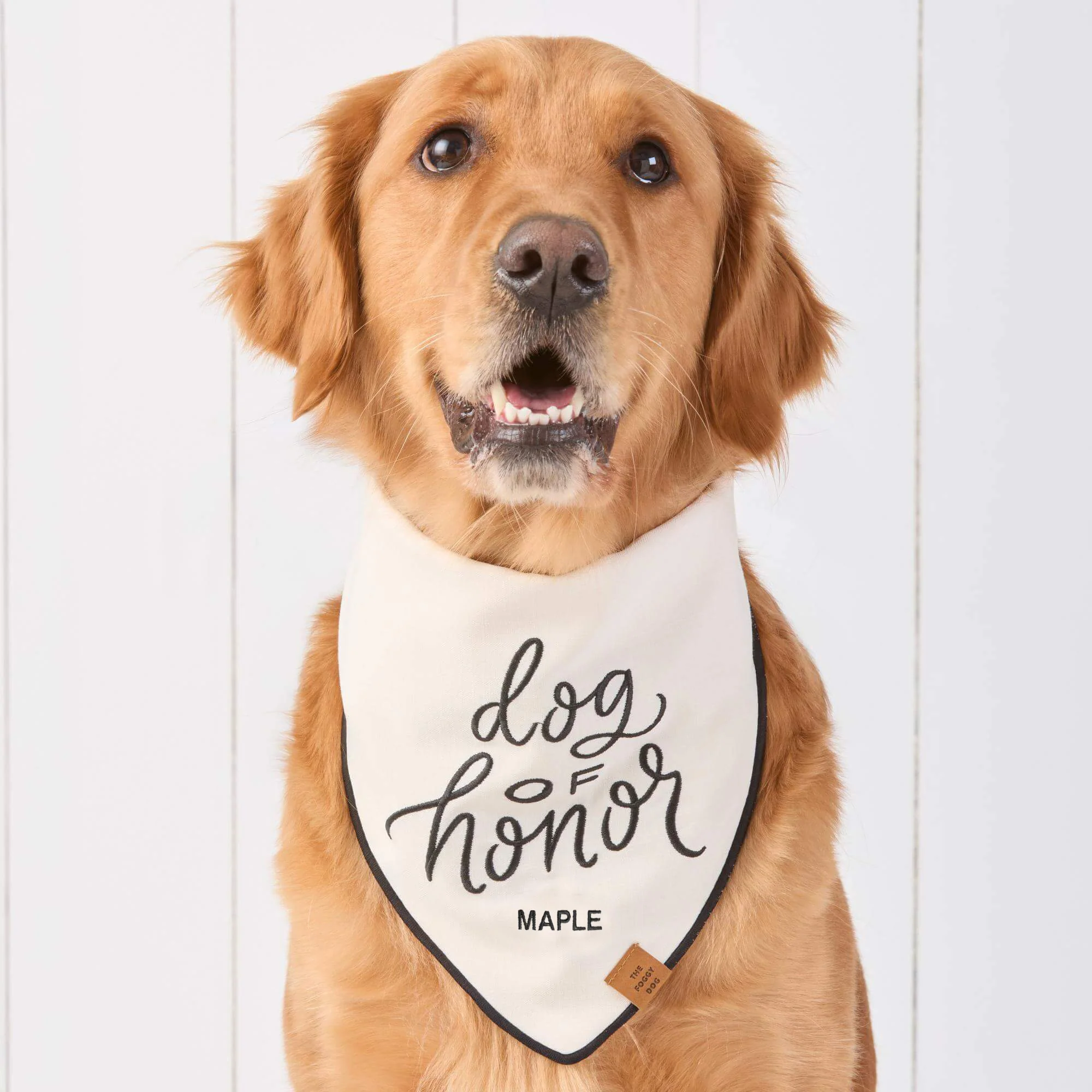 Dog of Honor Embroidered Dog Bandana - Image 3