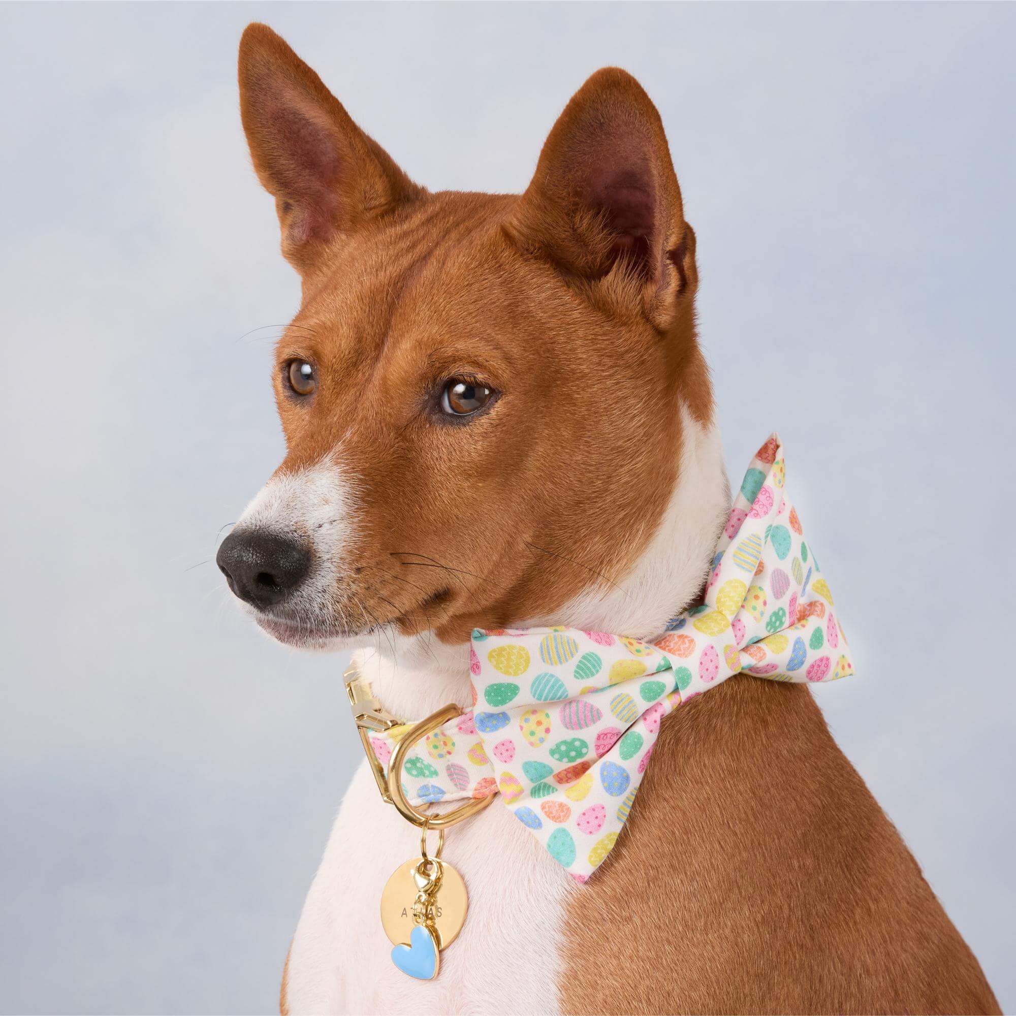 Easter Eggs Dog Bow Tie - Image 3