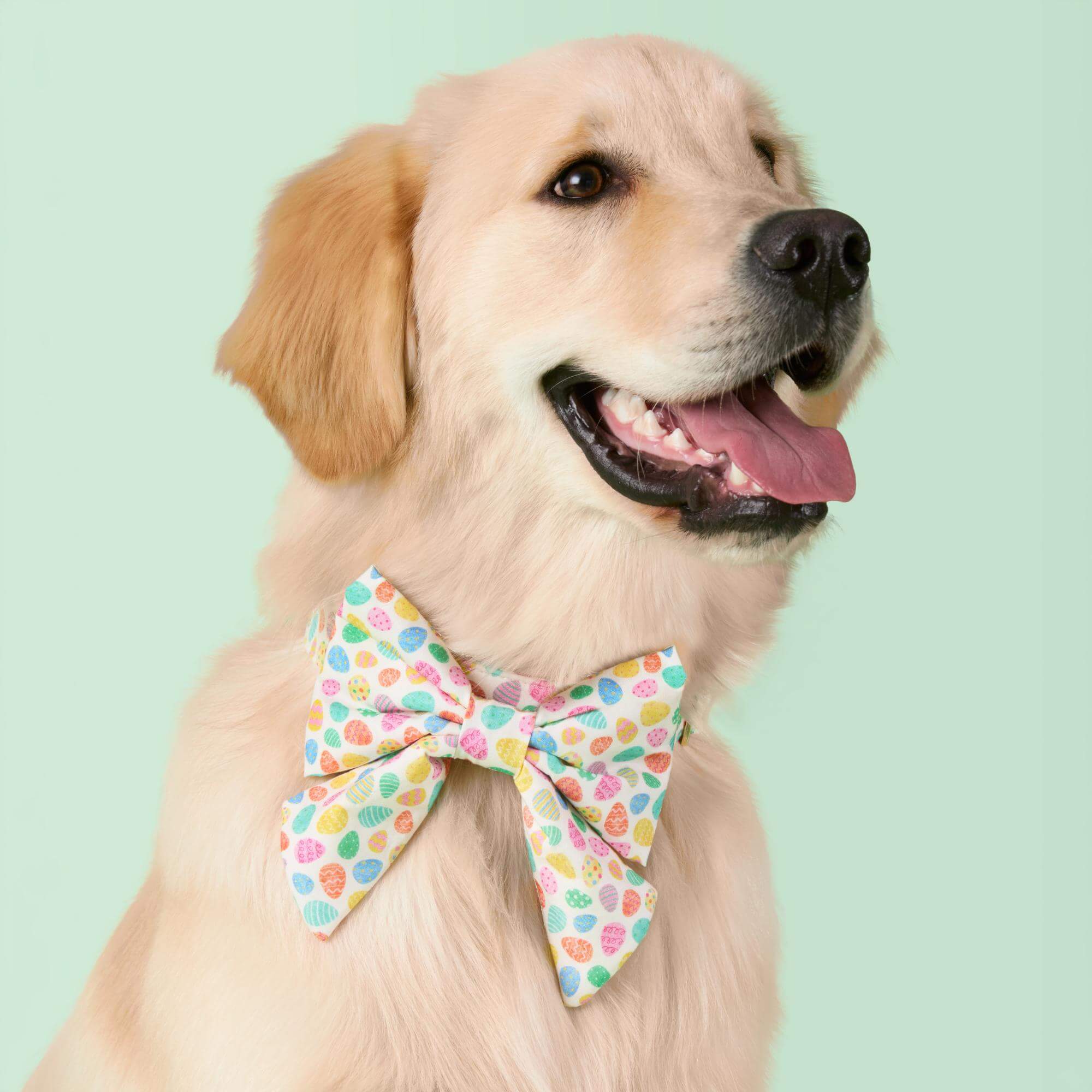 Easter Eggs Lady Dog Bow - Image 3
