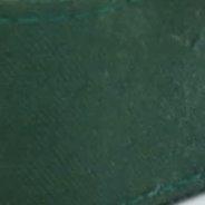 Evergreen Collar Walk Set - Image 8