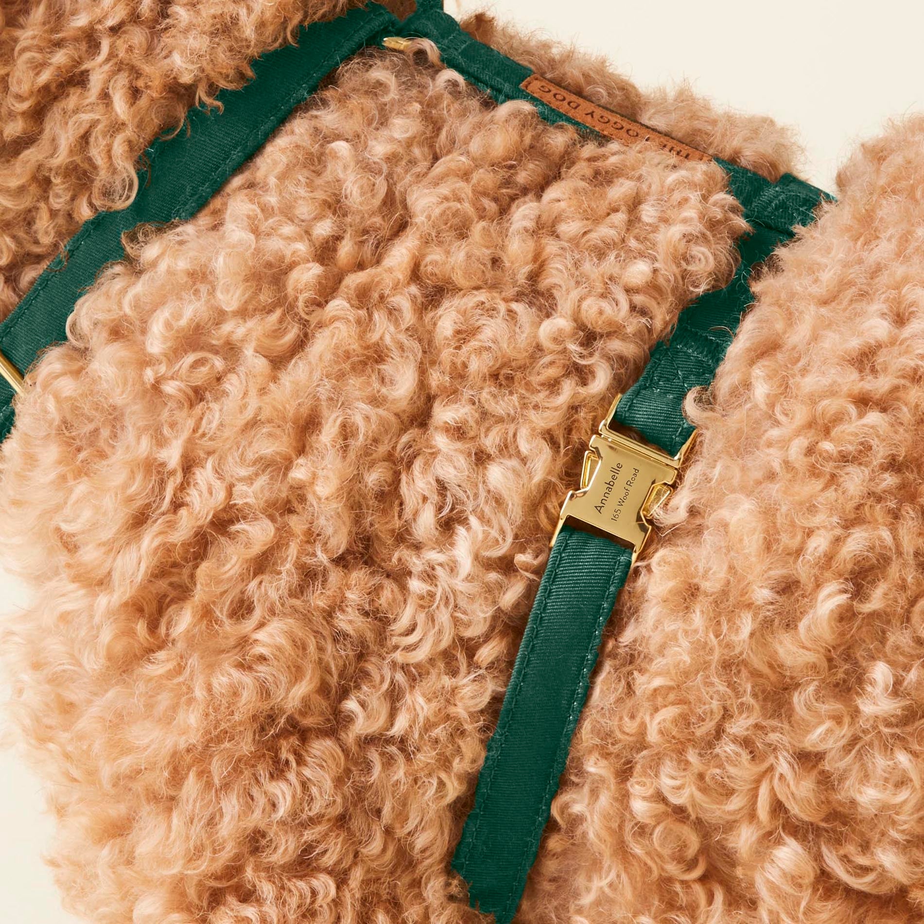 Evergreen Dog Harness - Image 7
