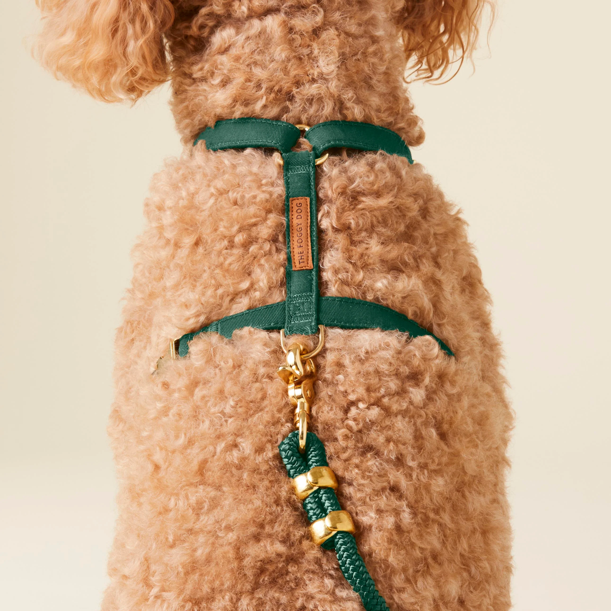 Evergreen Dog Harness - Image 9