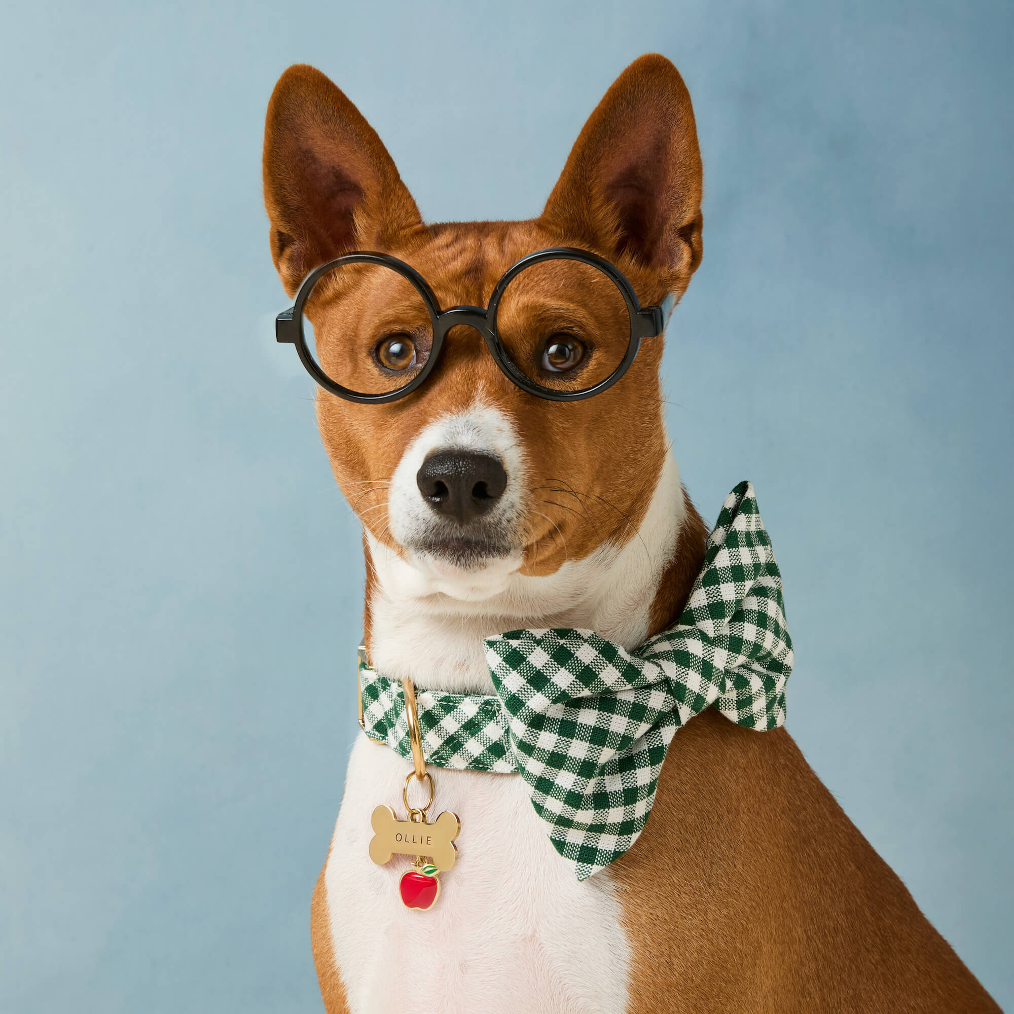 Evergreen Gingham Bow Tie Collar - Image 5