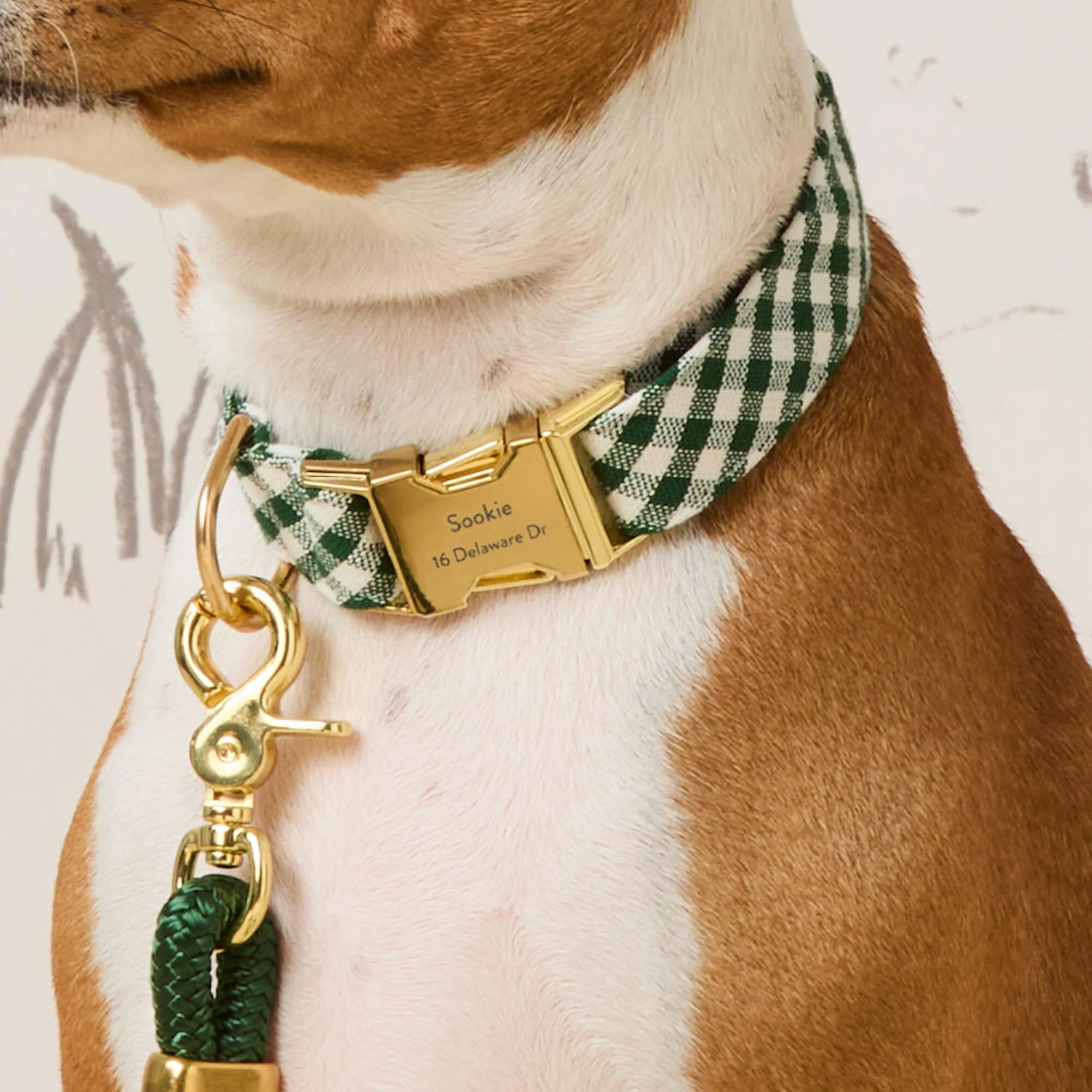 Evergreen Gingham Collar Walk Set - Image 4
