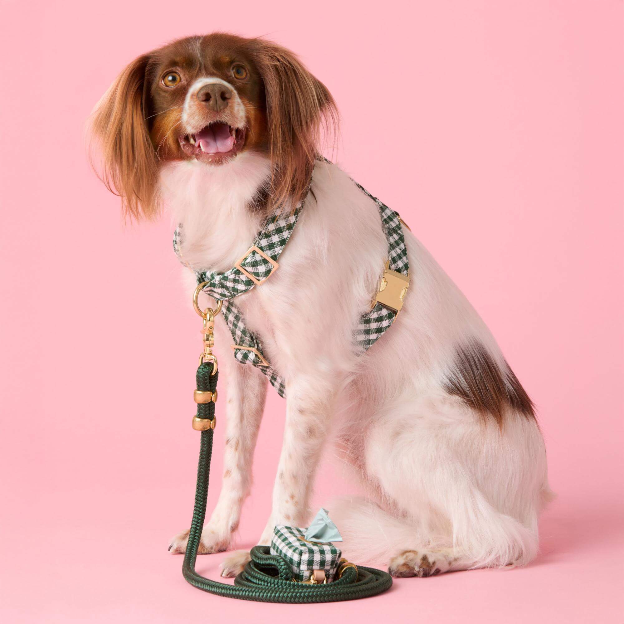Evergreen Gingham Harness Walk Set - Image 4