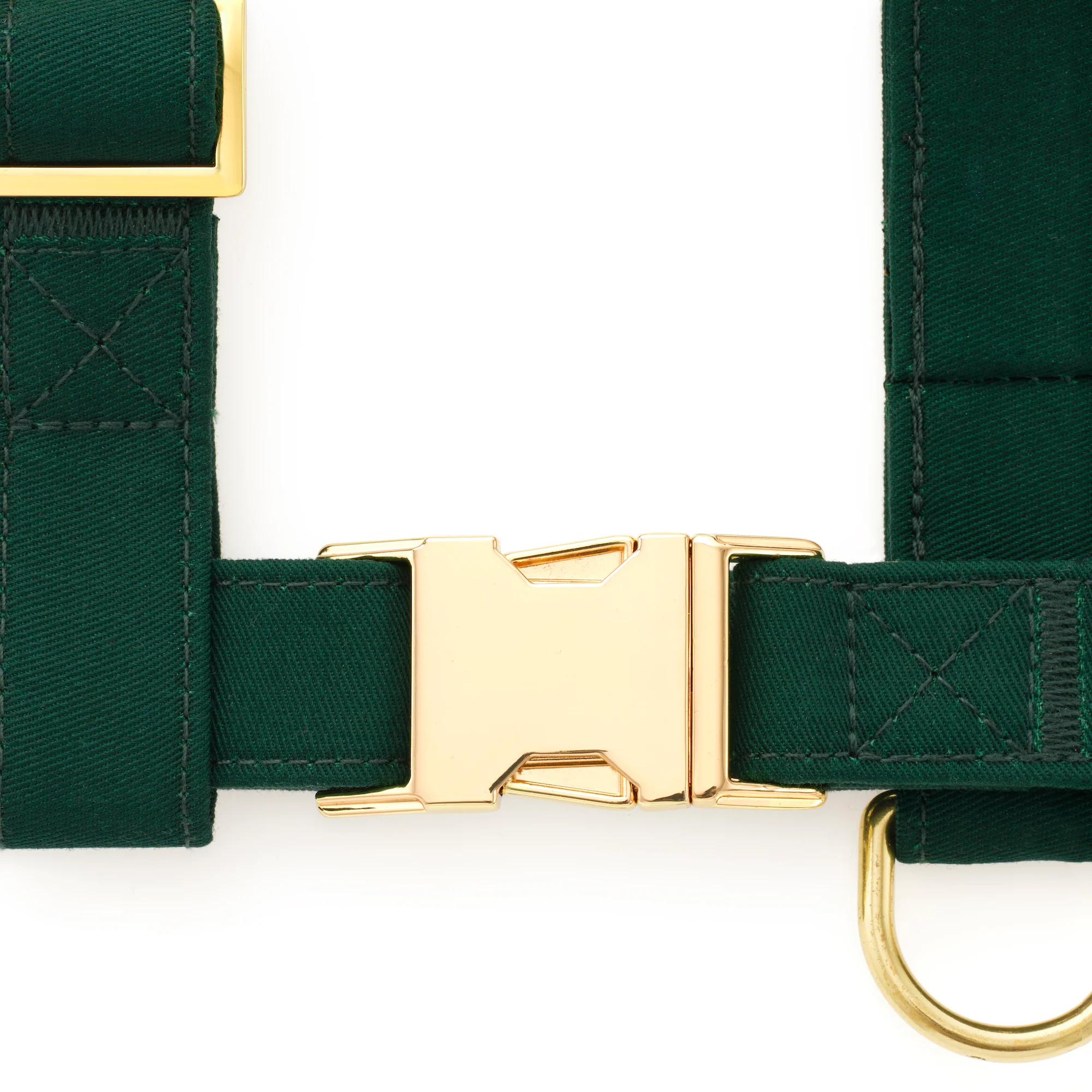 Evergreen Harness Walk Set - Image 3