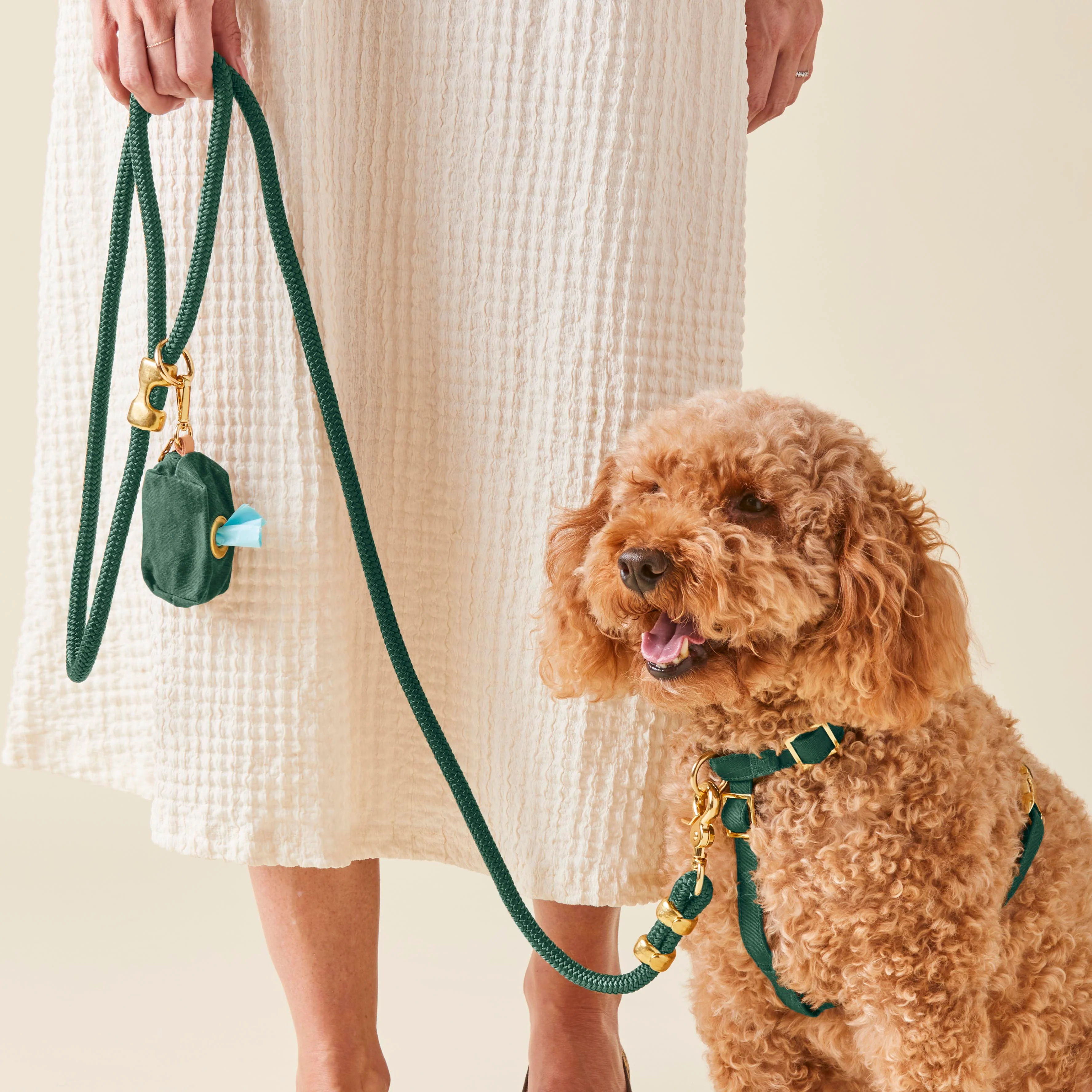 Evergreen Harness Walk Set - Image 4