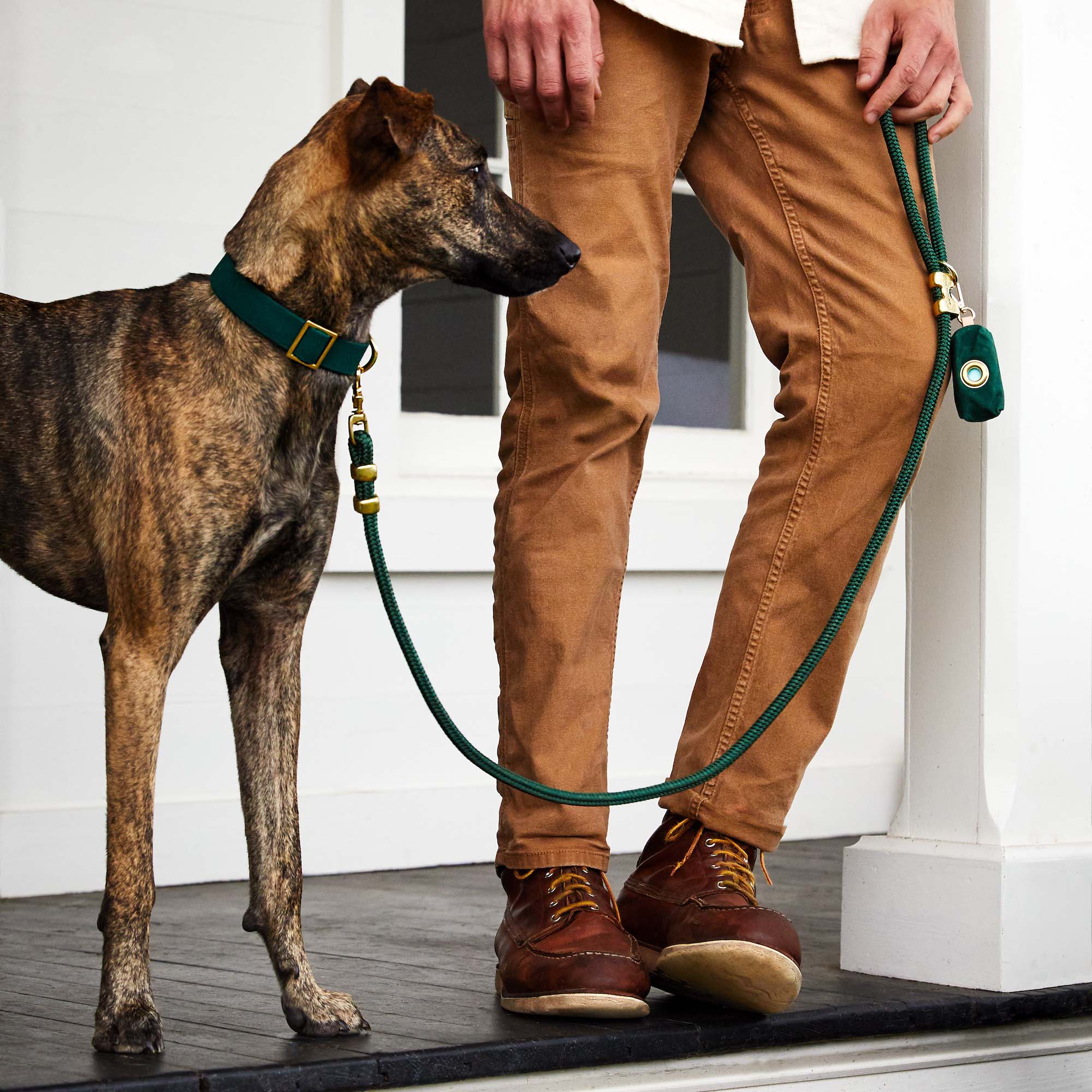 Evergreen Marine Rope Dog Leash - Image 10