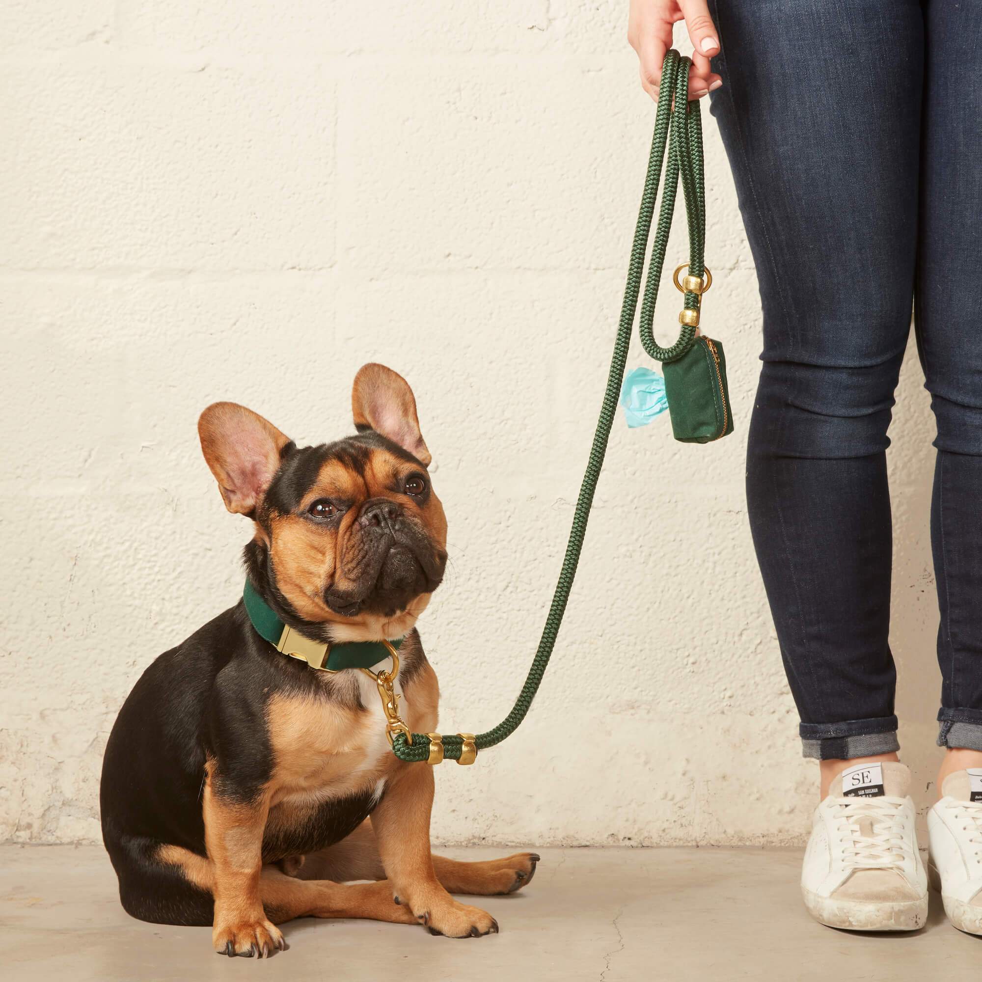 Evergreen Marine Rope Dog Leash - Image 20