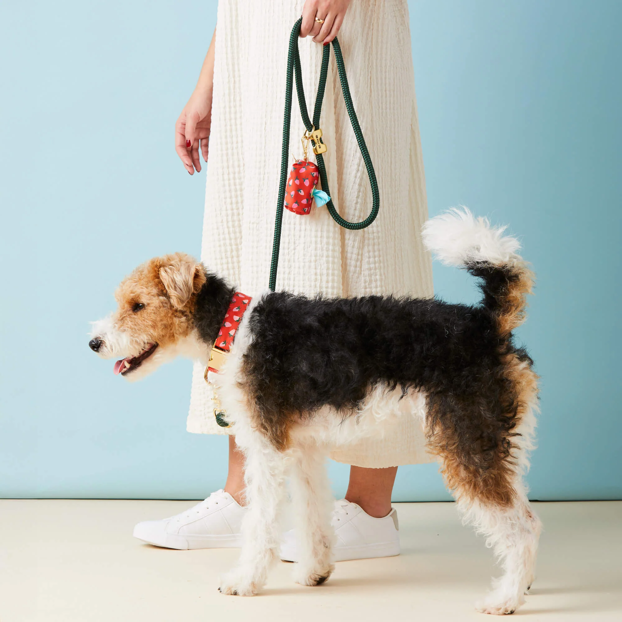 Evergreen Marine Rope Dog Leash - Image 4