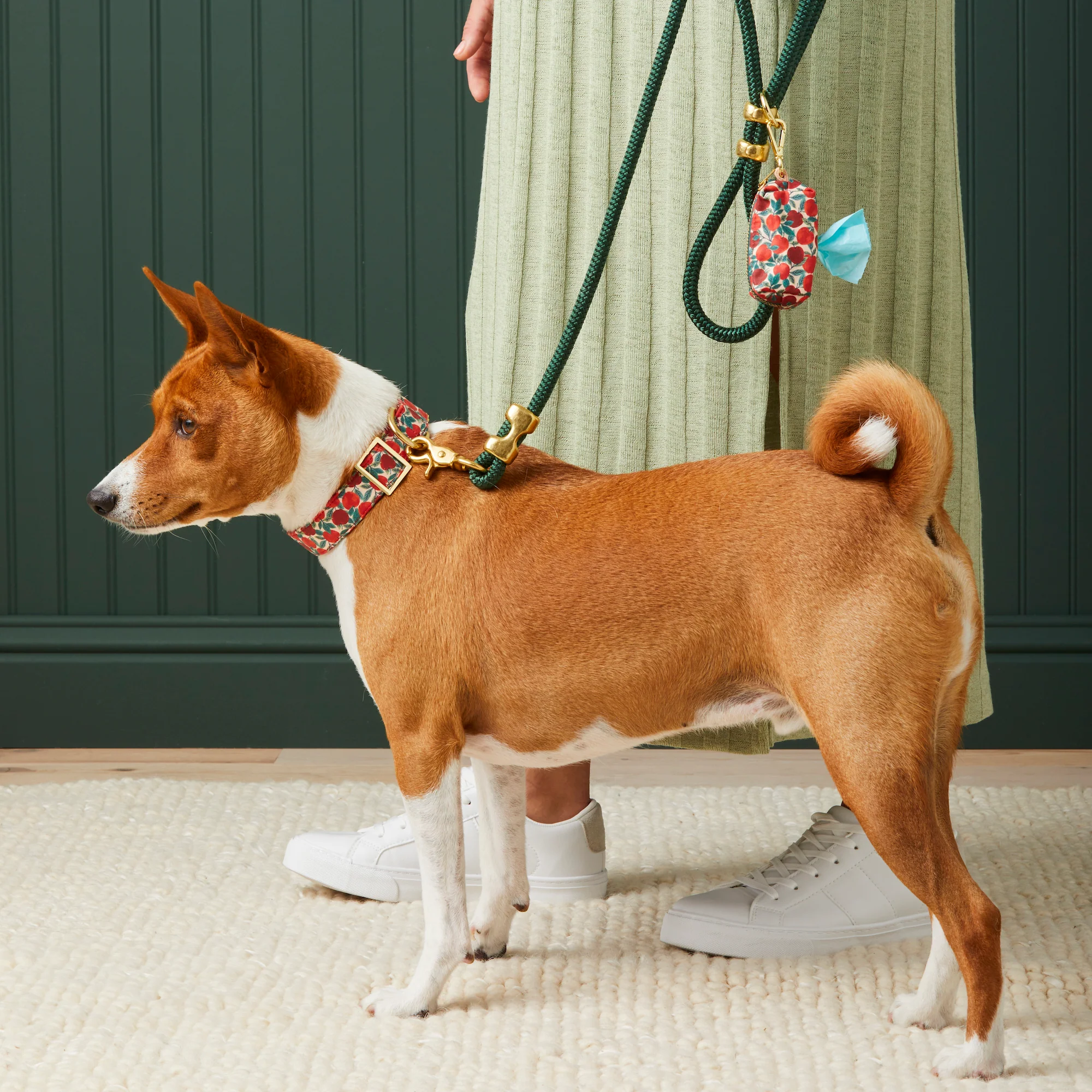 Evergreen Marine Rope Dog Leash - Image 7