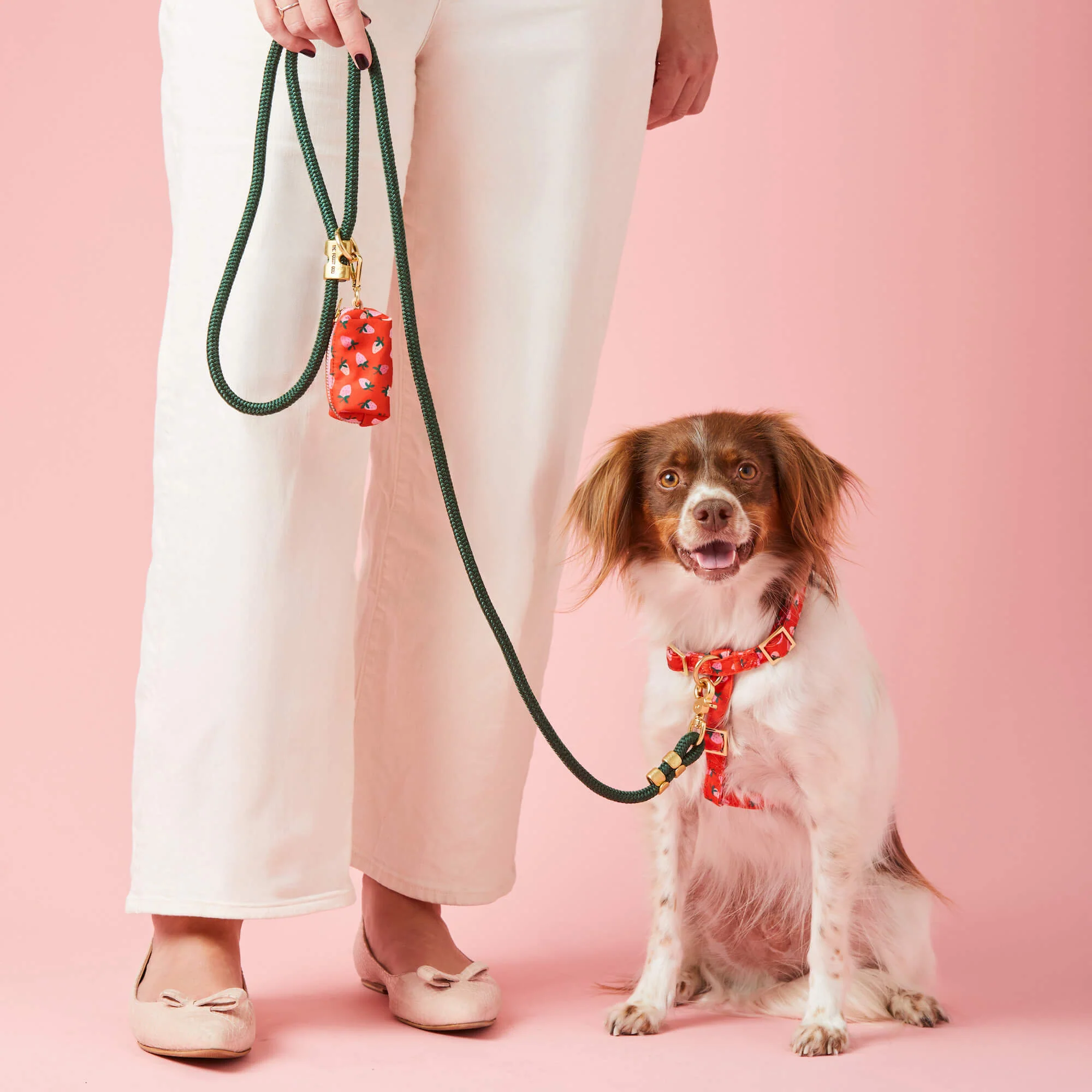 Evergreen Marine Rope Dog Leash - Image 9
