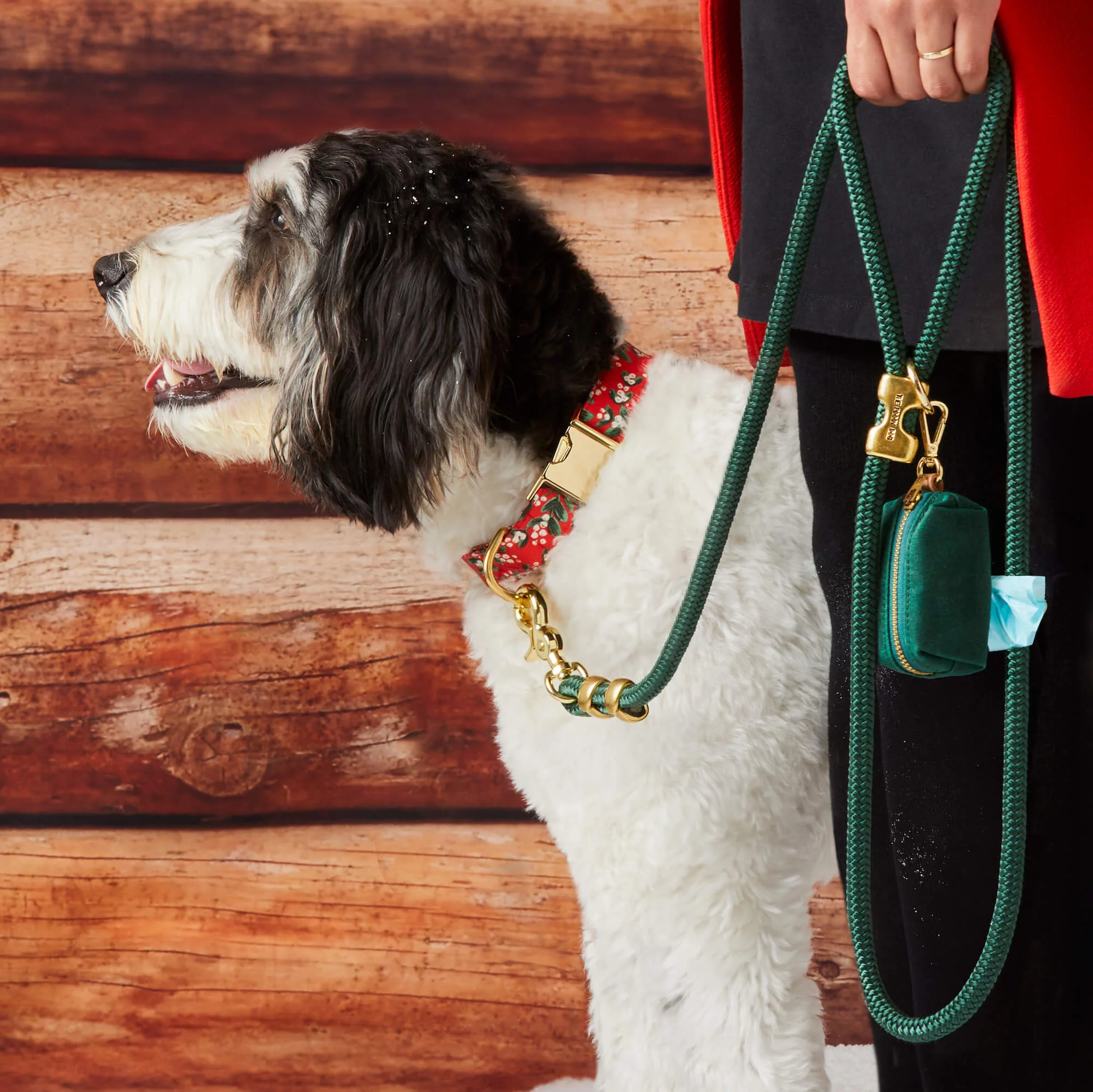 Evergreen Marine Rope Dog Leash - Image 6