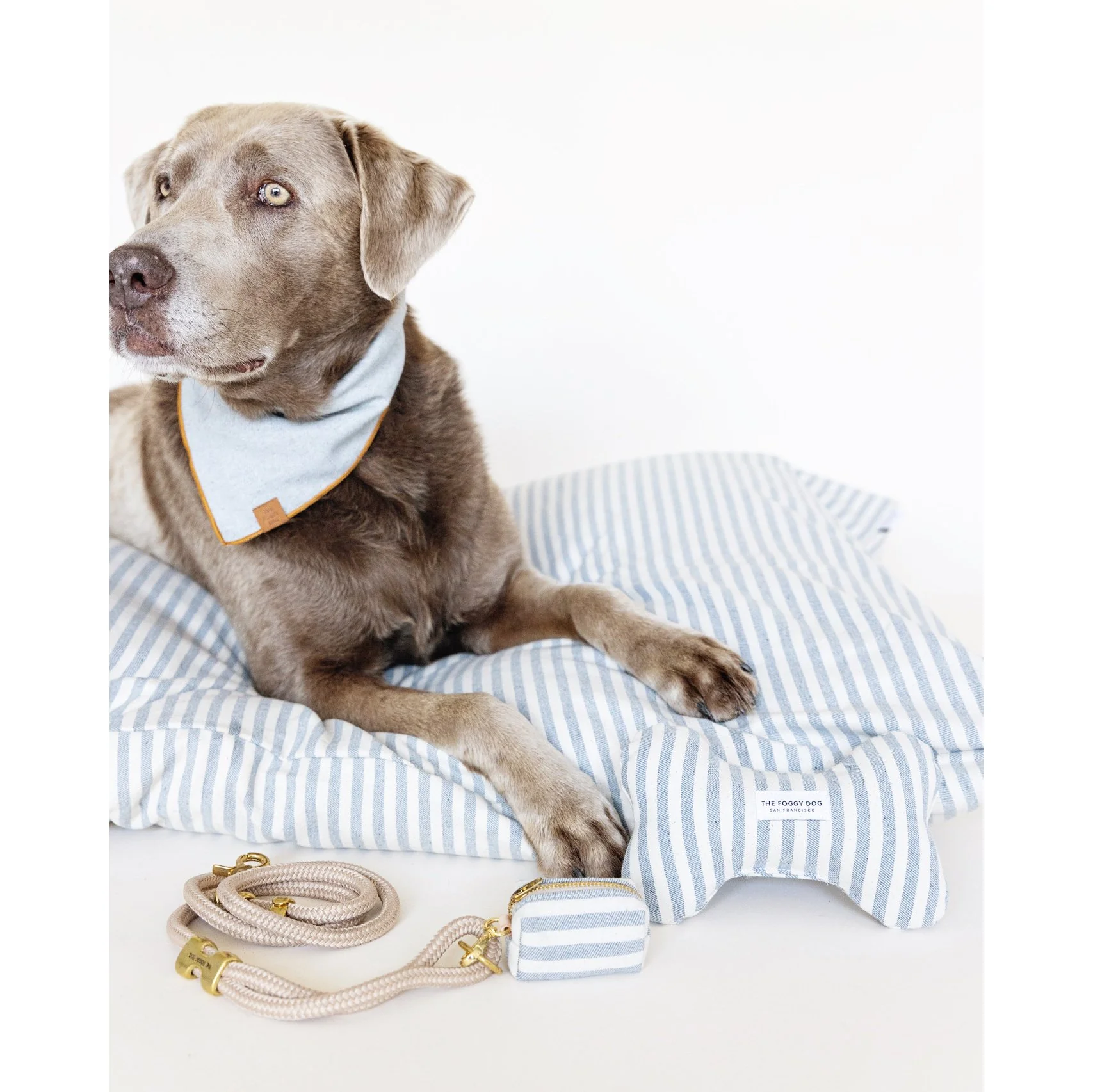 Flax Marine Rope Dog Leash - Image 16