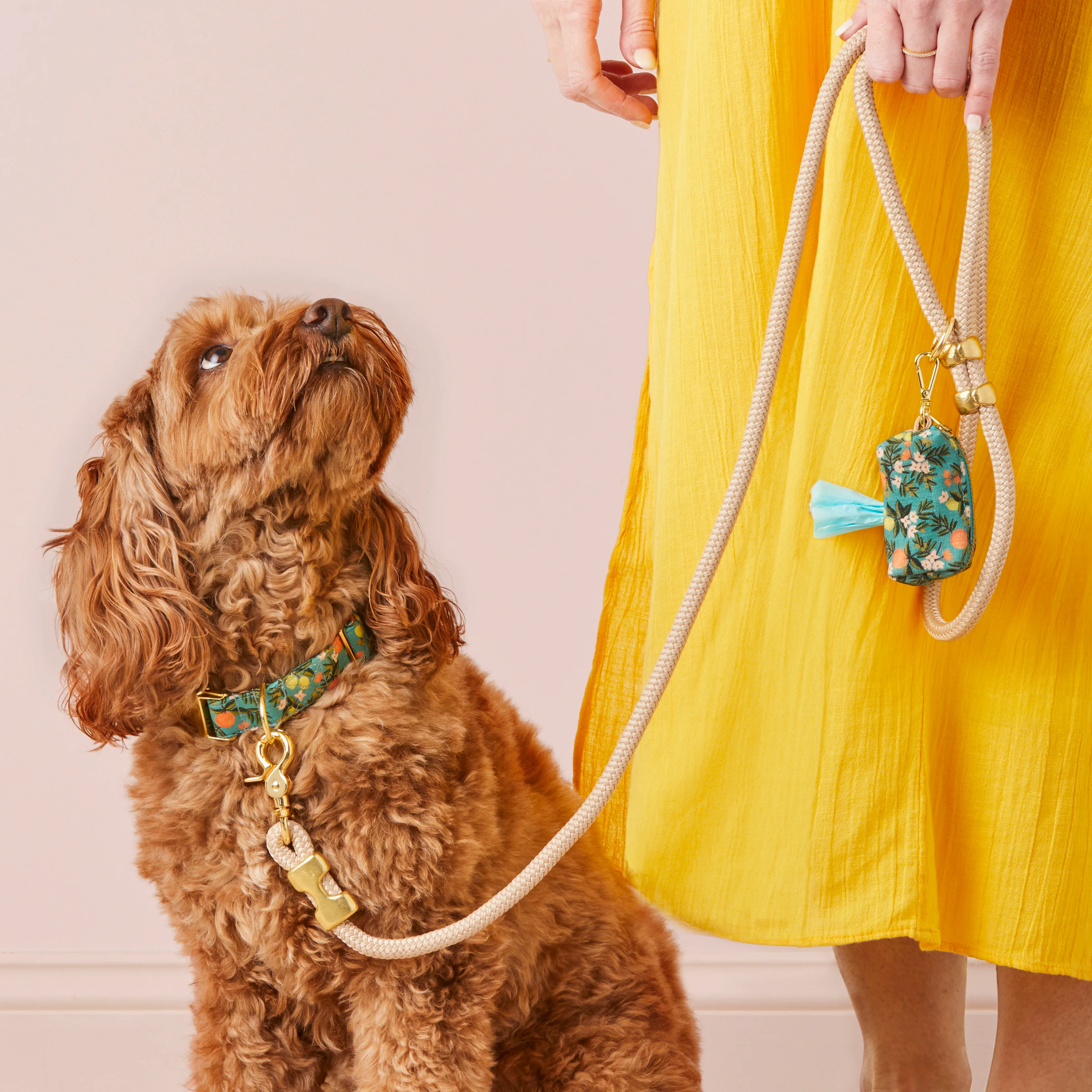 Flax Marine Rope Dog Leash - Image 4