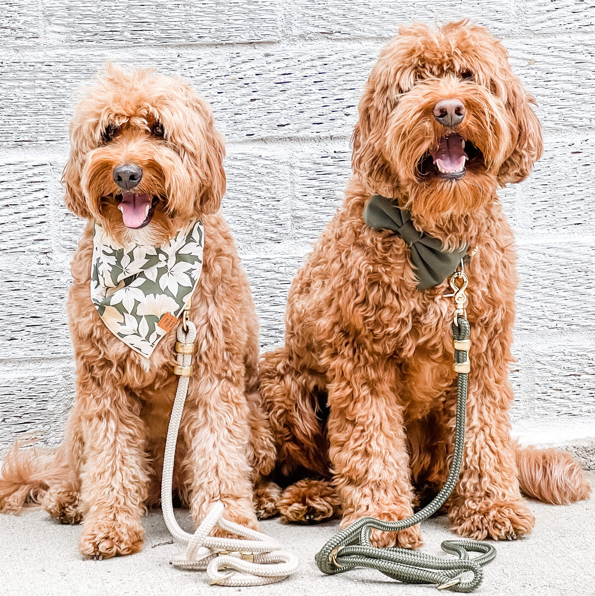 Flax Marine Rope Dog Leash - Image 6