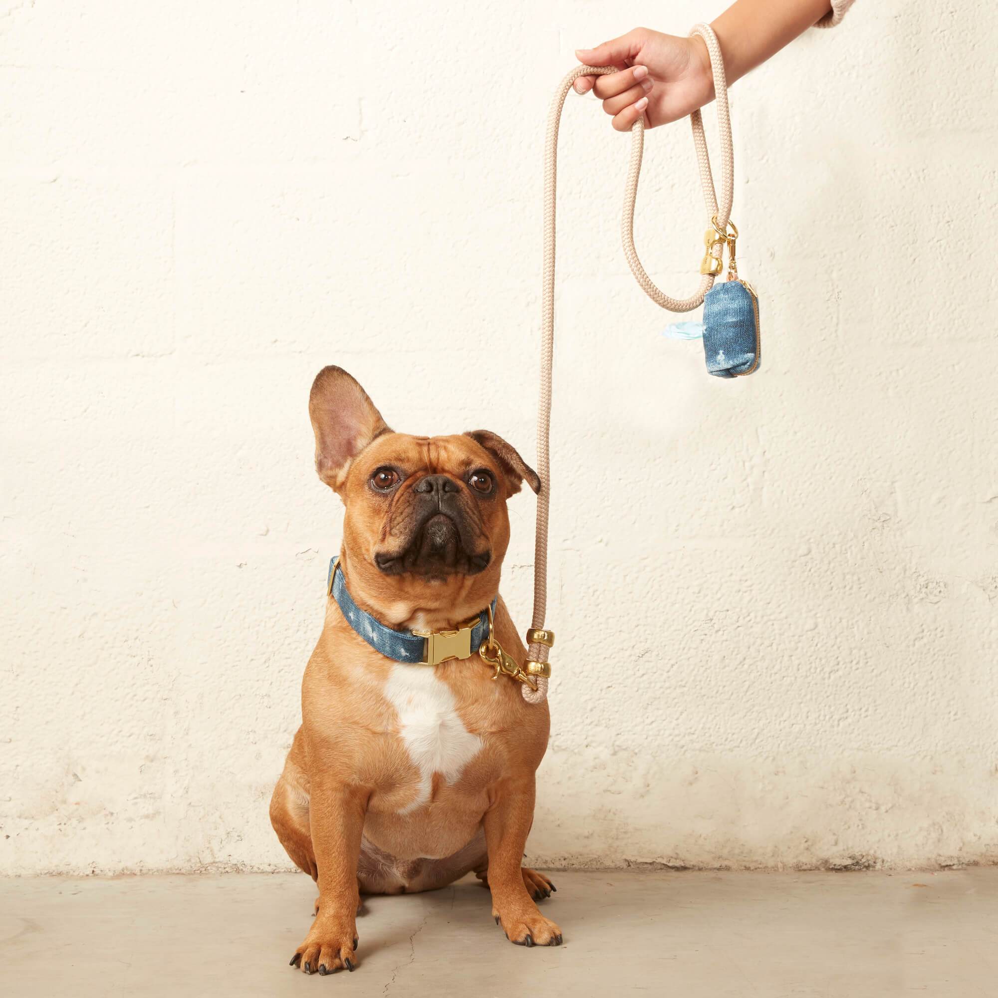 Flax Marine Rope Dog Leash - Image 7
