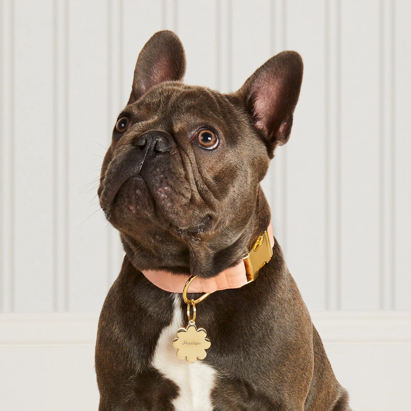 Flower Pet ID Tag - Image 5