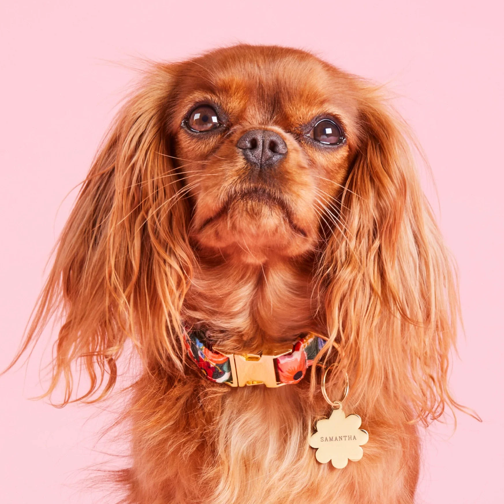 Flower Pet ID Tag - Image 7