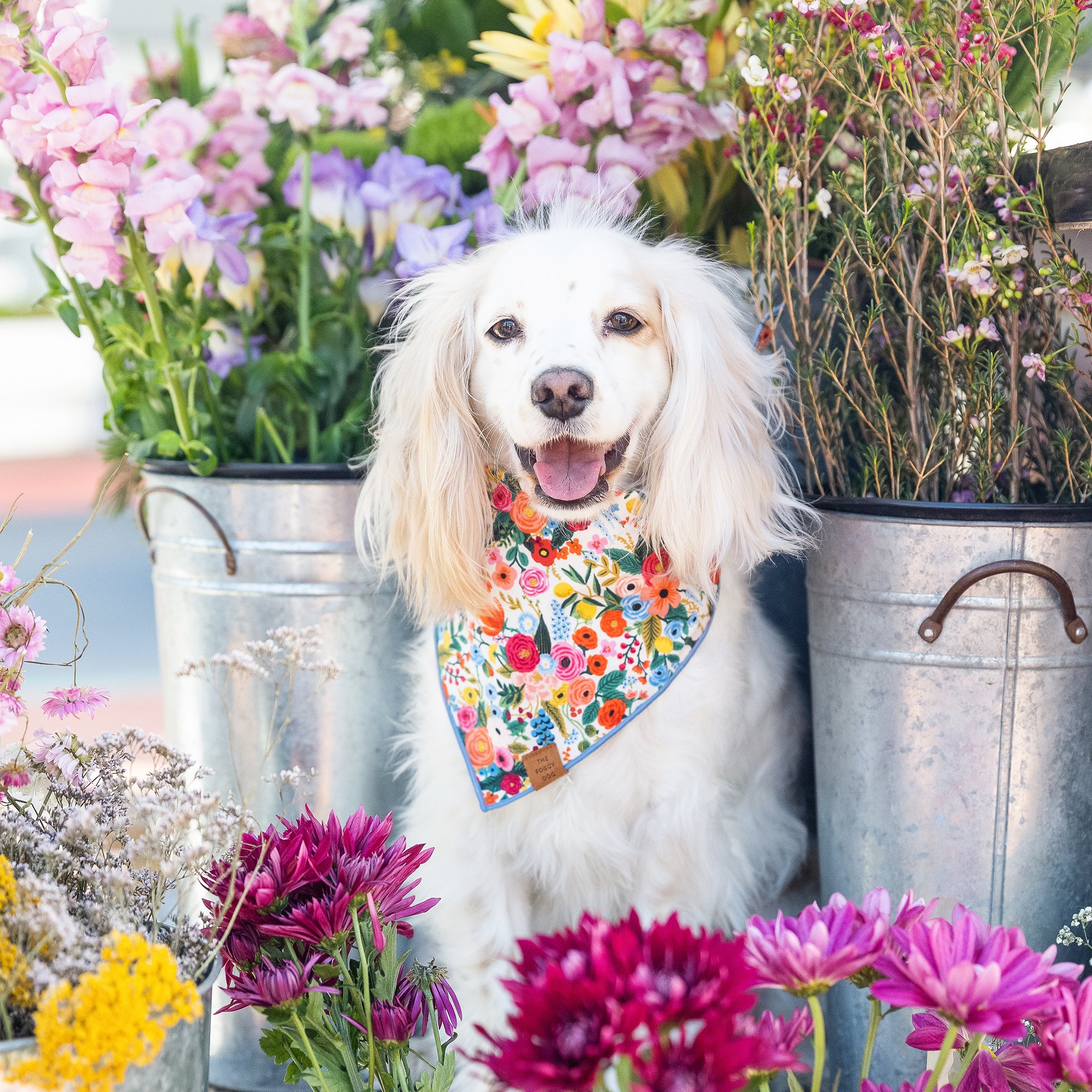 Garden Party Dog Bandana - Image 5