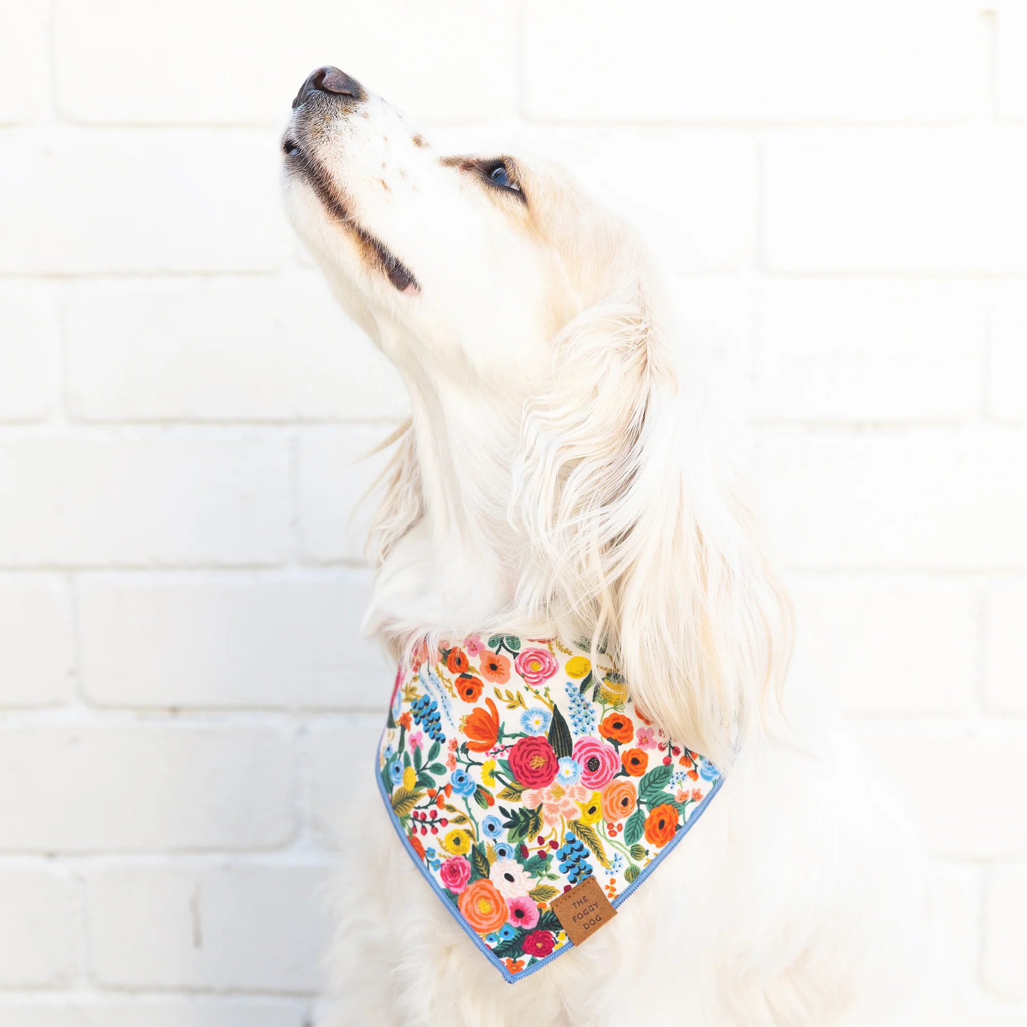Garden Party Dog Bandana - Image 6