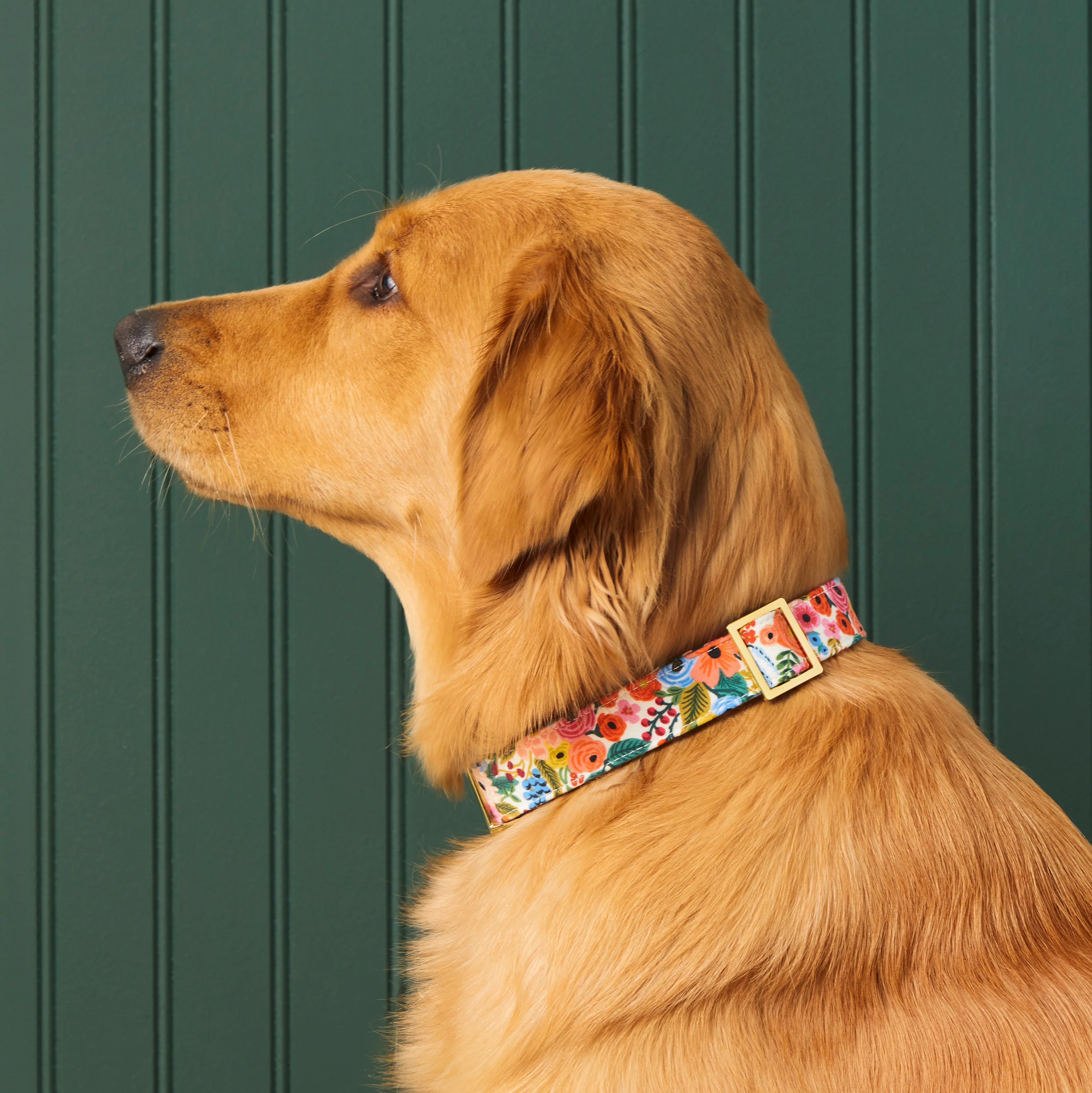 Garden Party Dog Collar - Image 4