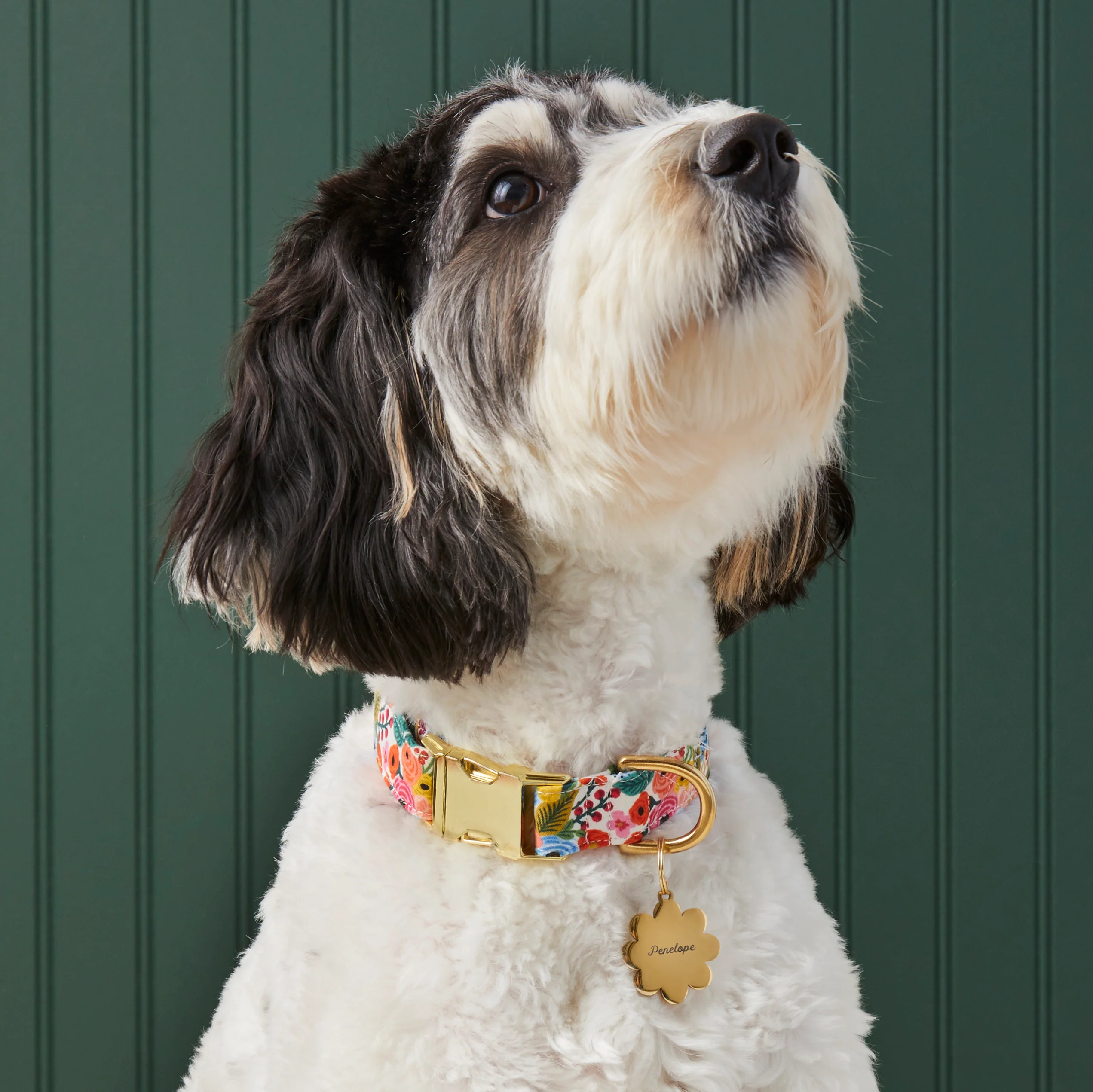 Garden Party Dog Collar - Image 5