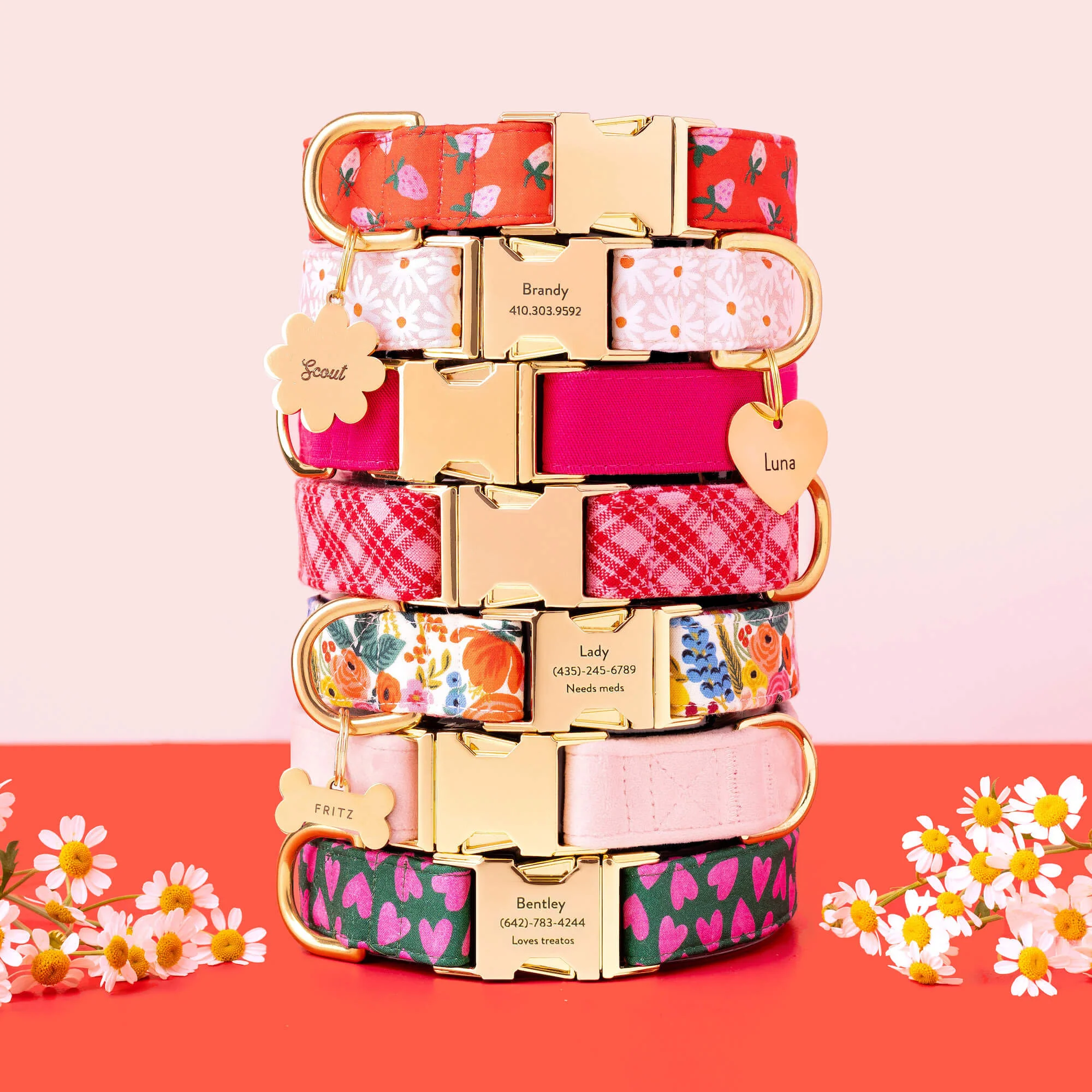 Hot Pink Dog Collar - Image 11