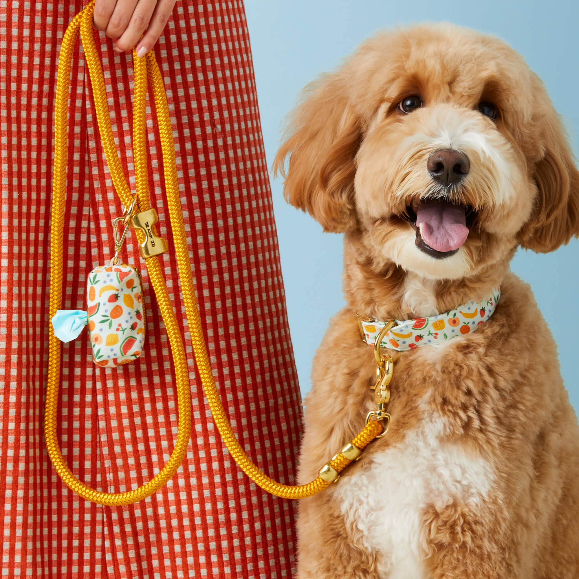 Goldenrod Marine Rope Dog Leash - Image 3