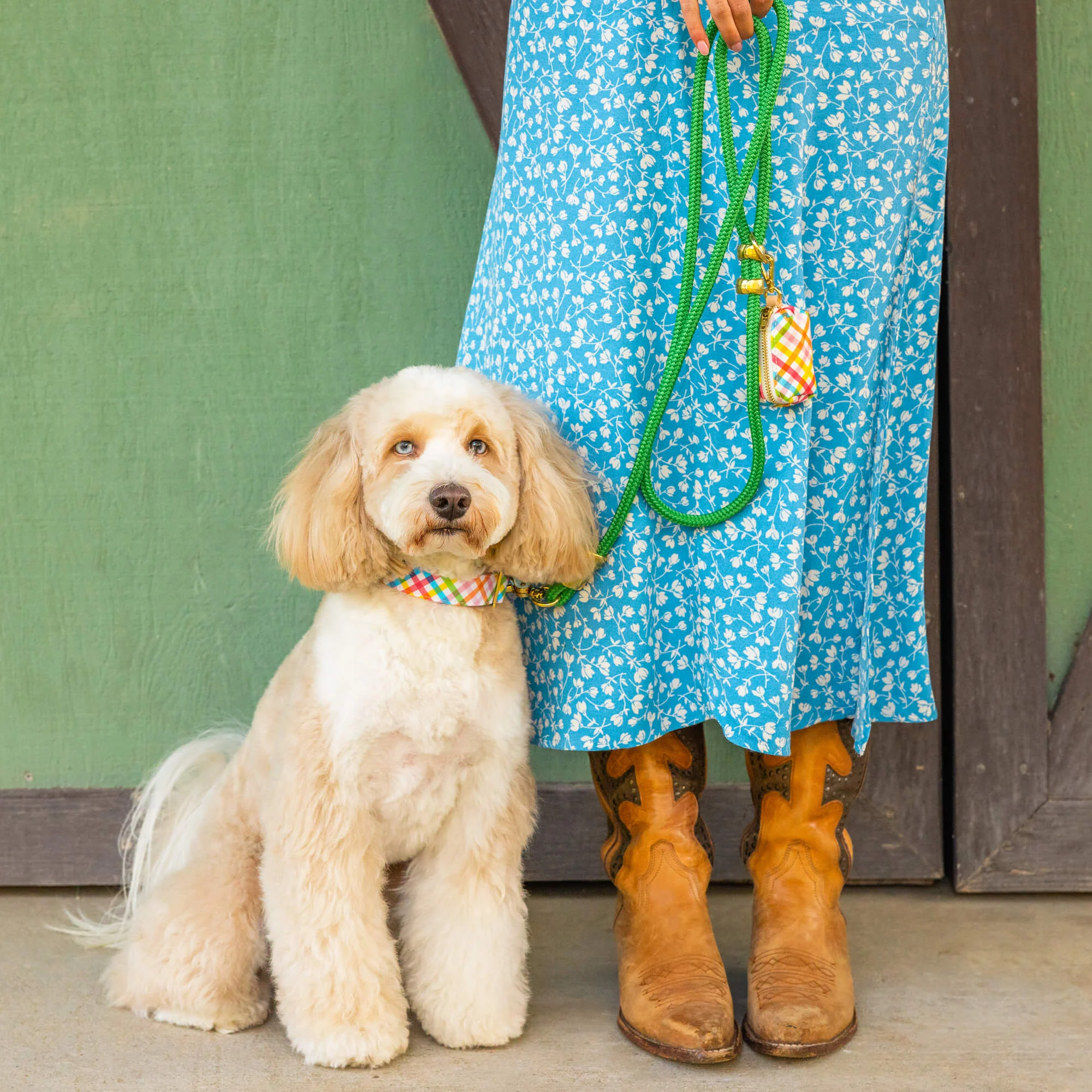 Grass Green Marine Rope Dog Leash - Image 5