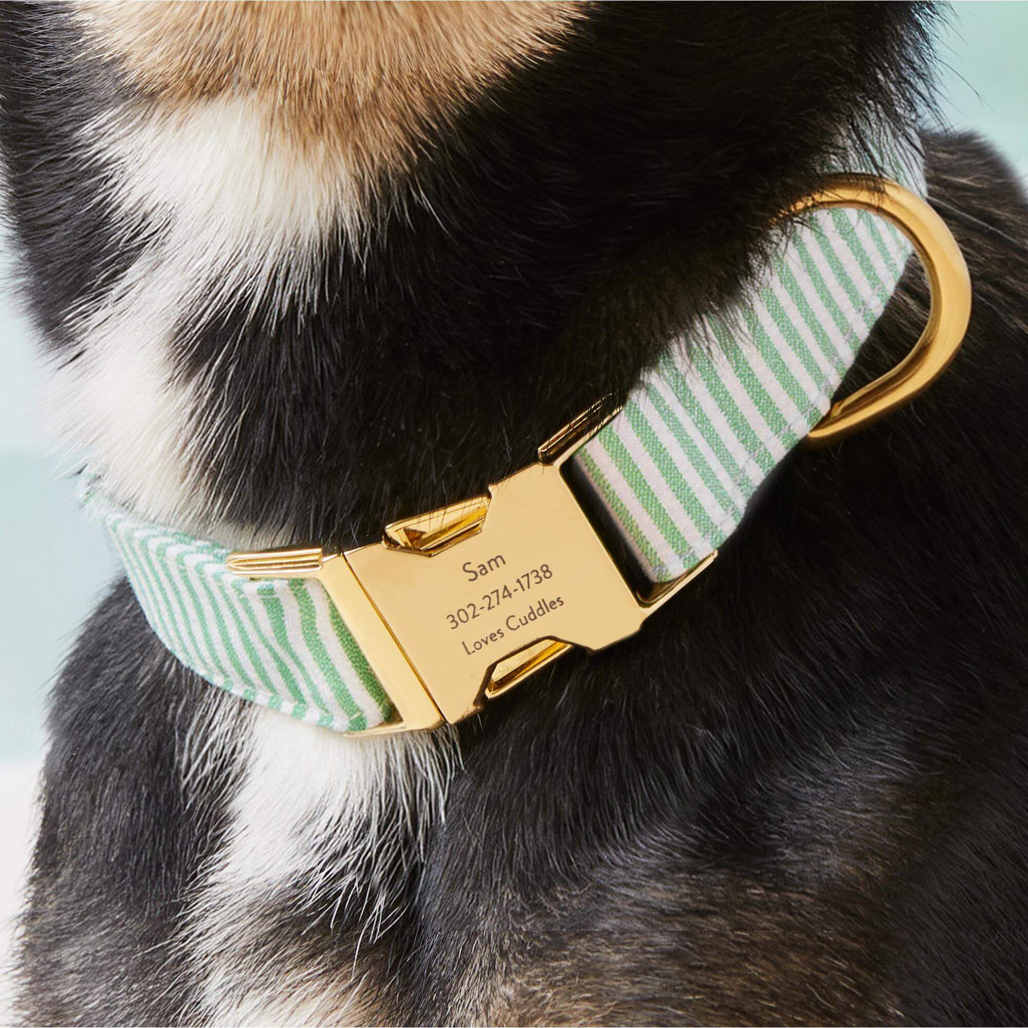 Green Seersucker Dog Collar - Image 5