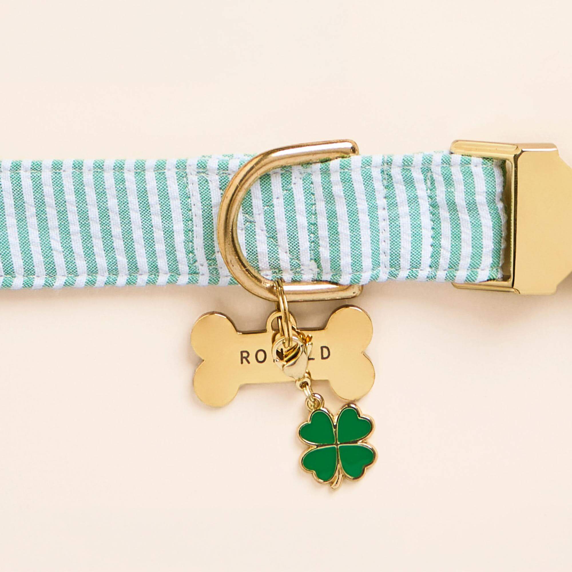 Bone Pet ID Tag - Image 31