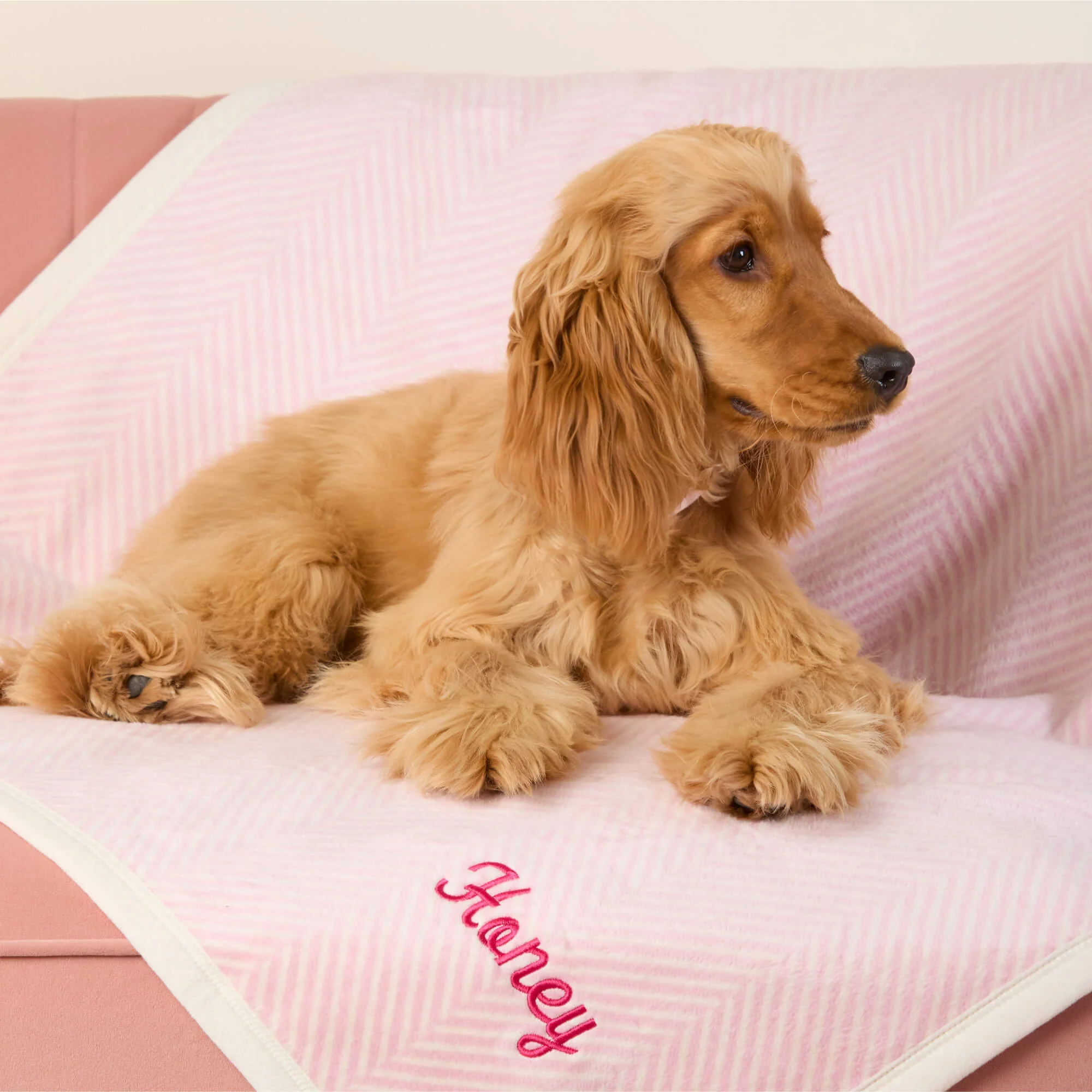 ChappyWrap Harborview Herringbone Blush Dog Blanket - Image 5